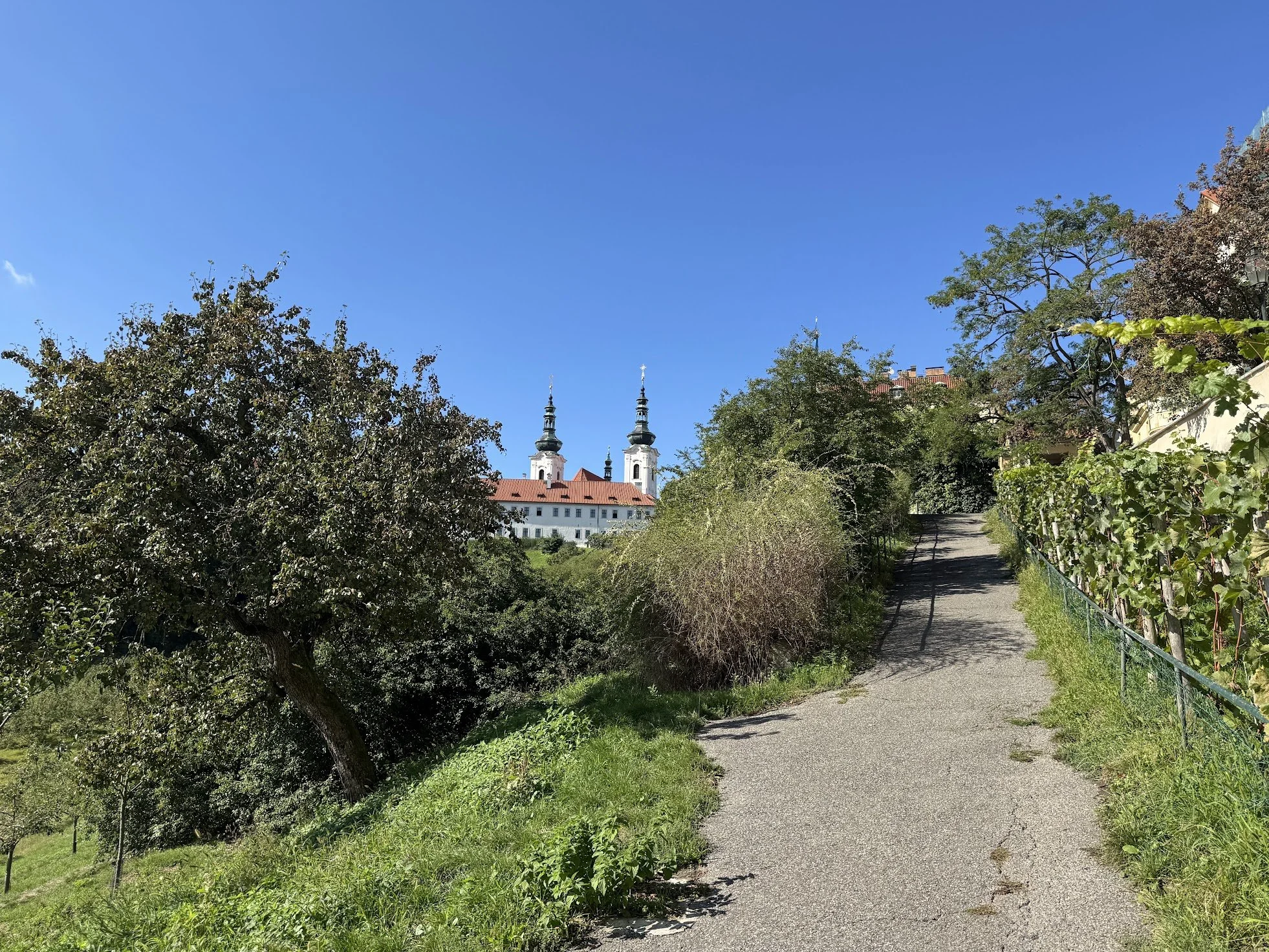 A scenic pathway lined with trees and greenery, leading to a white building with church steeples and rooftops visible in the distance under a clear blue sky.