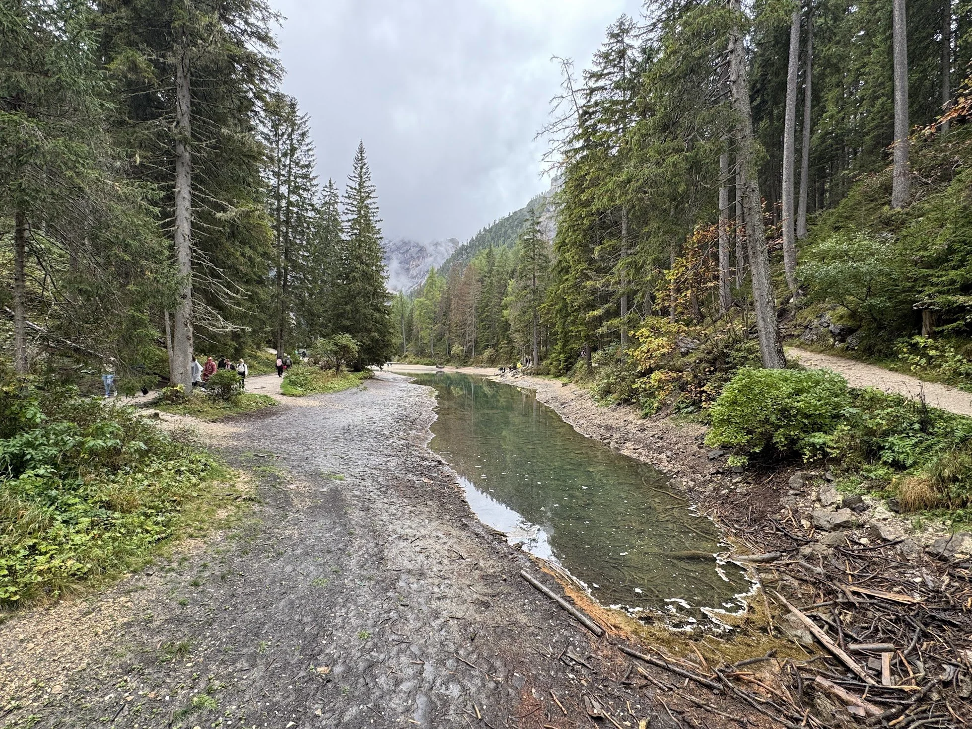 A serene mountain landscape with pine trees, a small creek, and cloudy sky, with a few people walking along the trail.