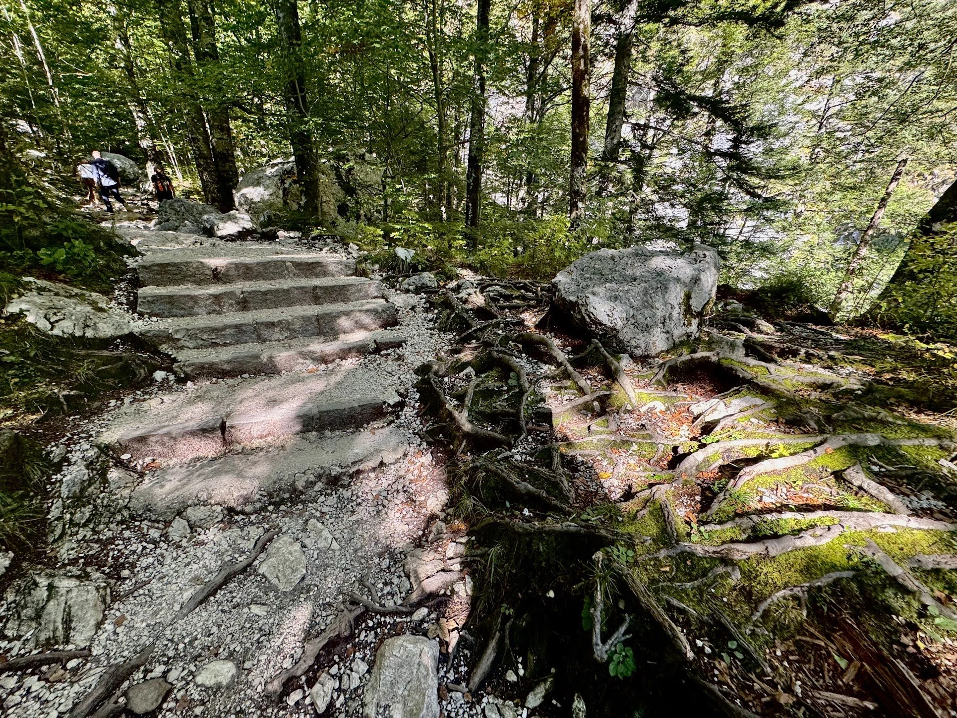 A forest trail with stone steps surrounded by trees and rocks, with two hikers walking along the trail.