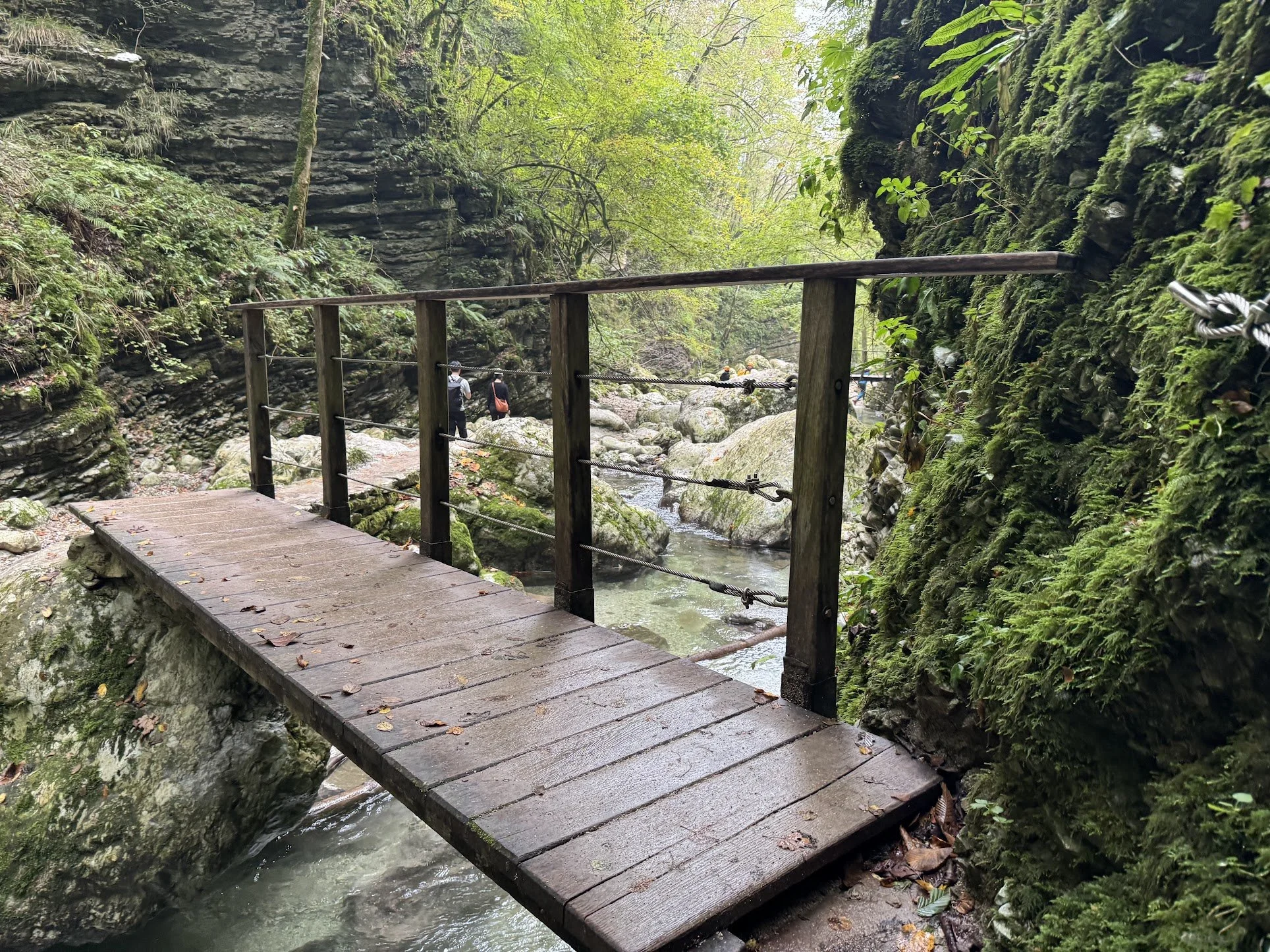 A small wooden bridge over a rocky creek in a dense green forest with moss-covered rocks and trees.