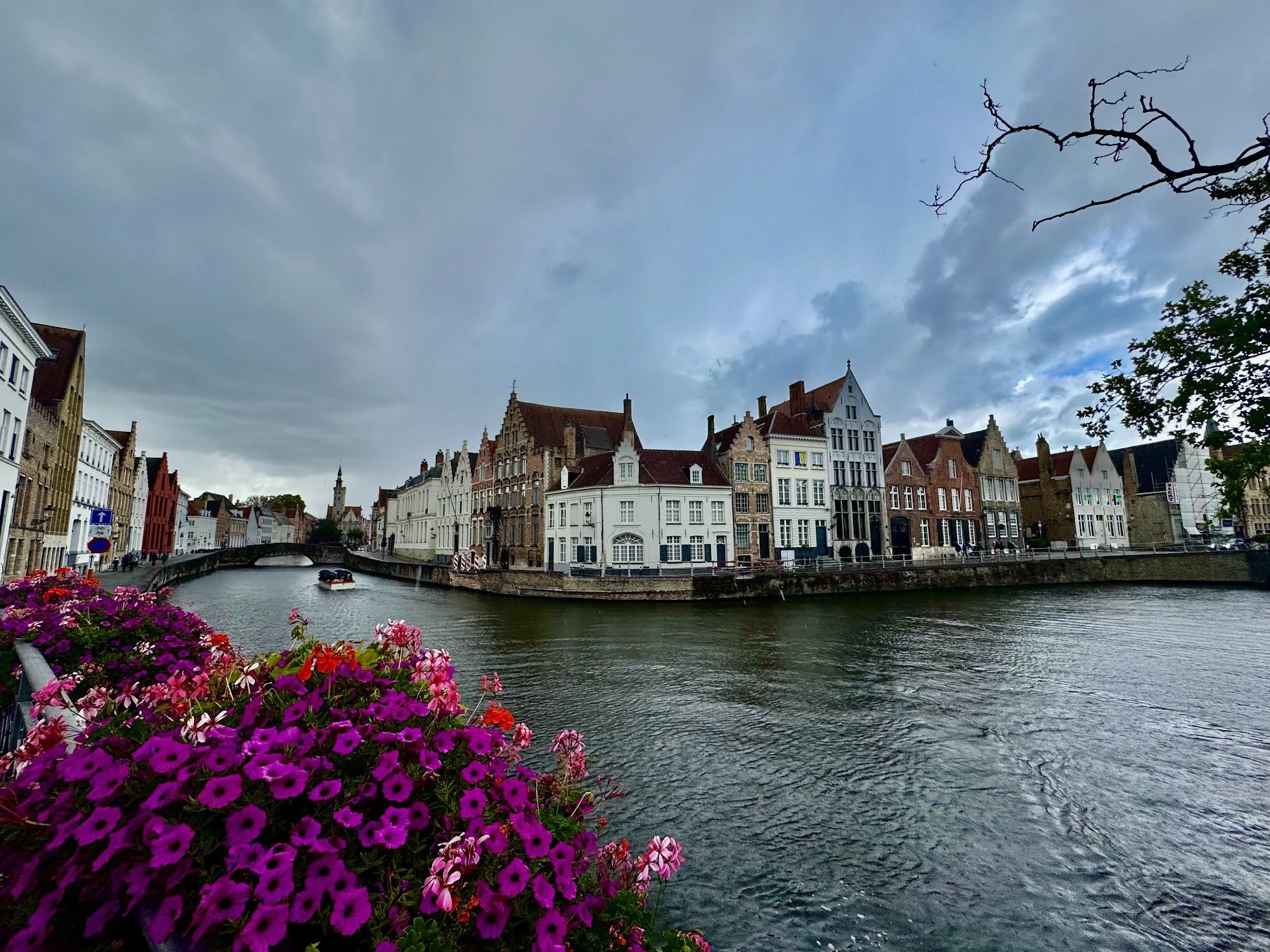 A canal with historic European buildings along the water's edge, a small boat sailing, and colorful flowers in the foreground under a cloudy sky.
