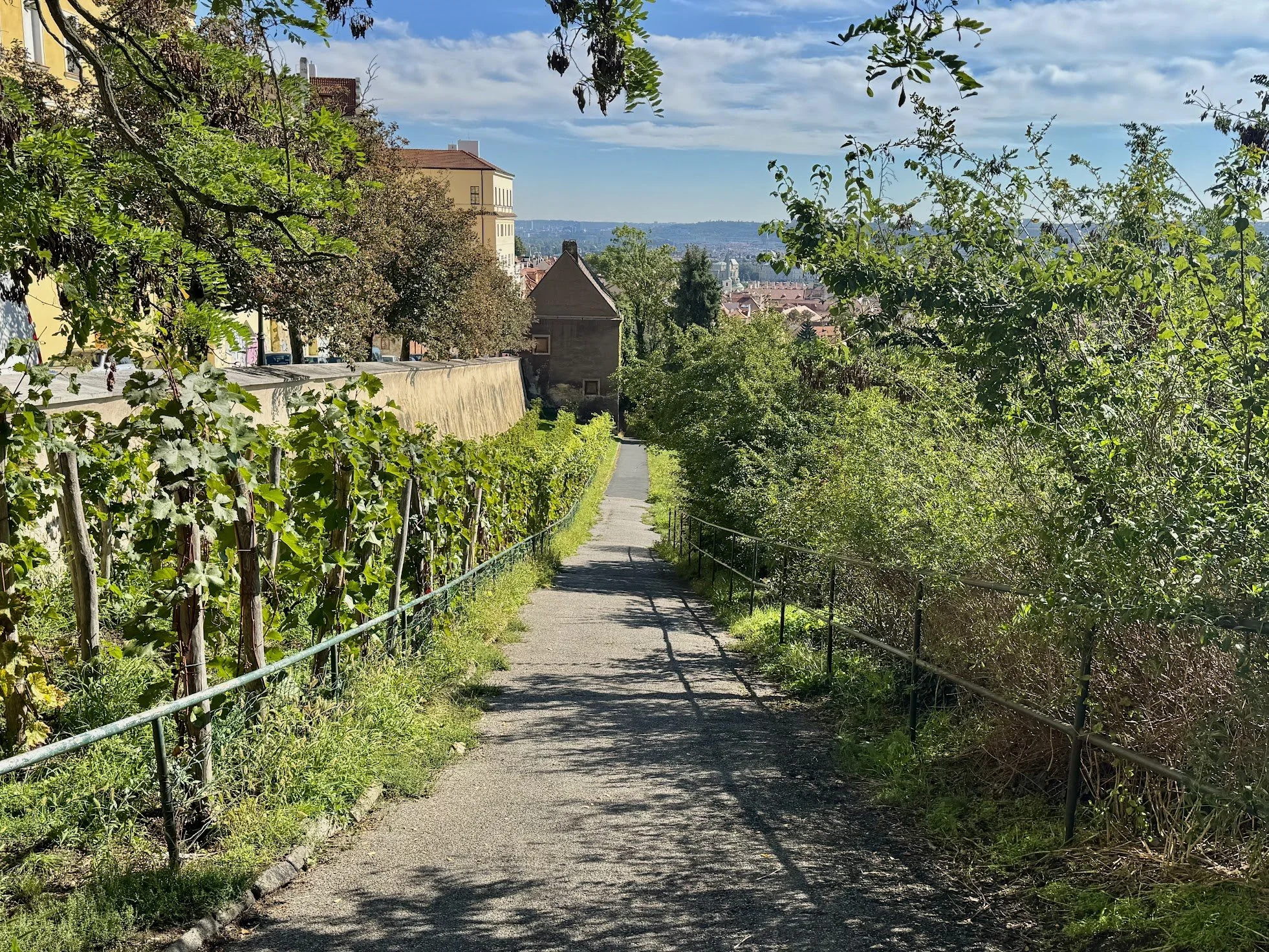 A narrow paved pathway through lush green foliage with trees and plants on either side, overlooking a cityscape in the distance under a blue sky with scattered clouds.