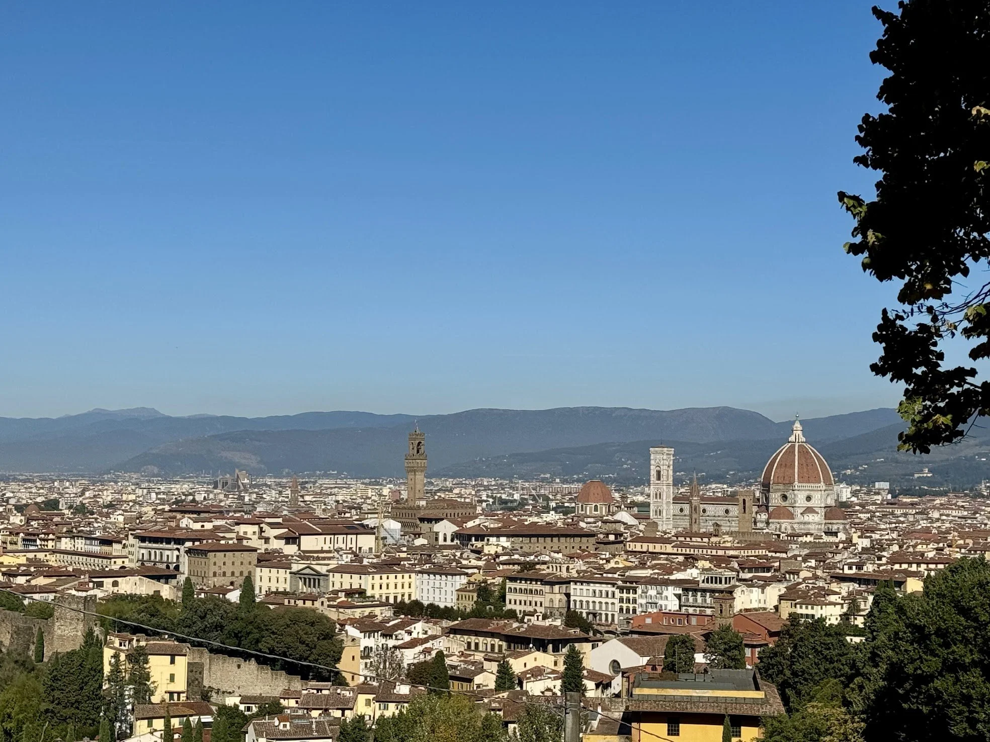 florence29.jpg