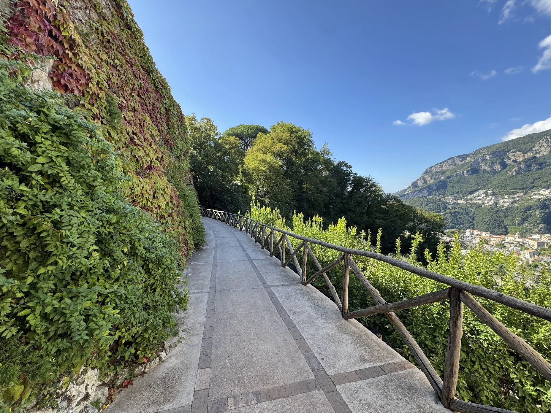 A winding walkway with a safety railing, surrounded by lush greenery and climbing plants on the left, overlooking a scenic view of distant mountains and a small town below on a bright, sunny day with a clear blue sky and a few clouds.