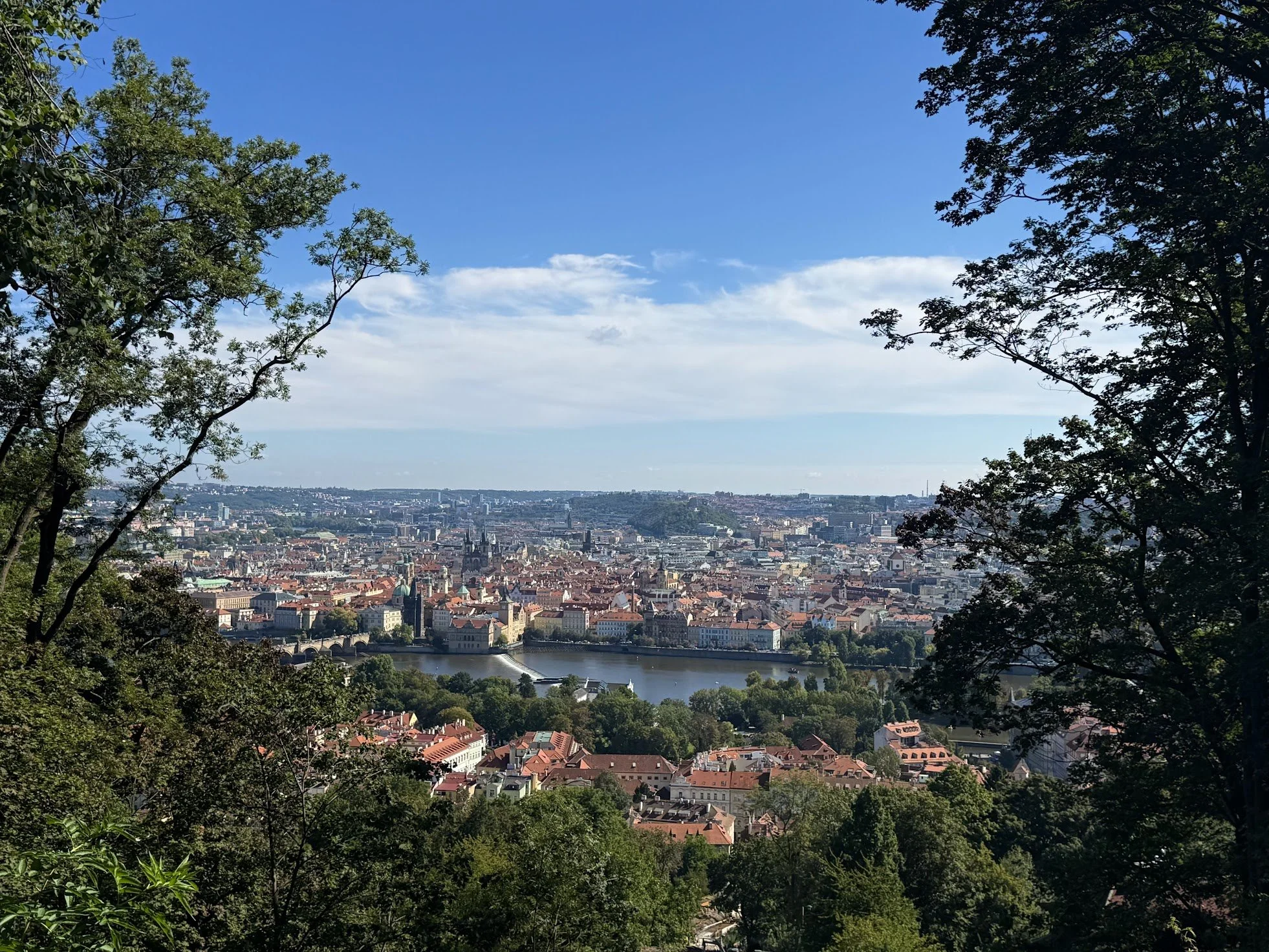 A scenic view of a city skyline across a river, framed by trees with green leaves in the foreground, under a blue sky with some clouds.