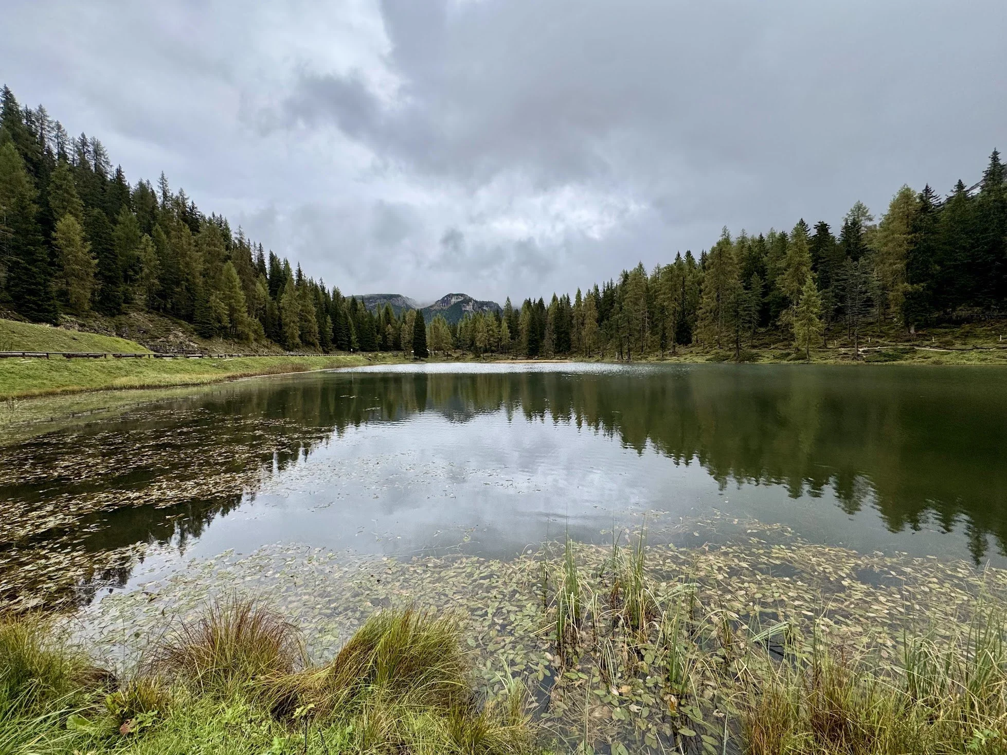 A serene mountain lake surrounded by a dense forest of green pine trees under a cloudy sky, with reflections of the trees and sky on the water's surface.