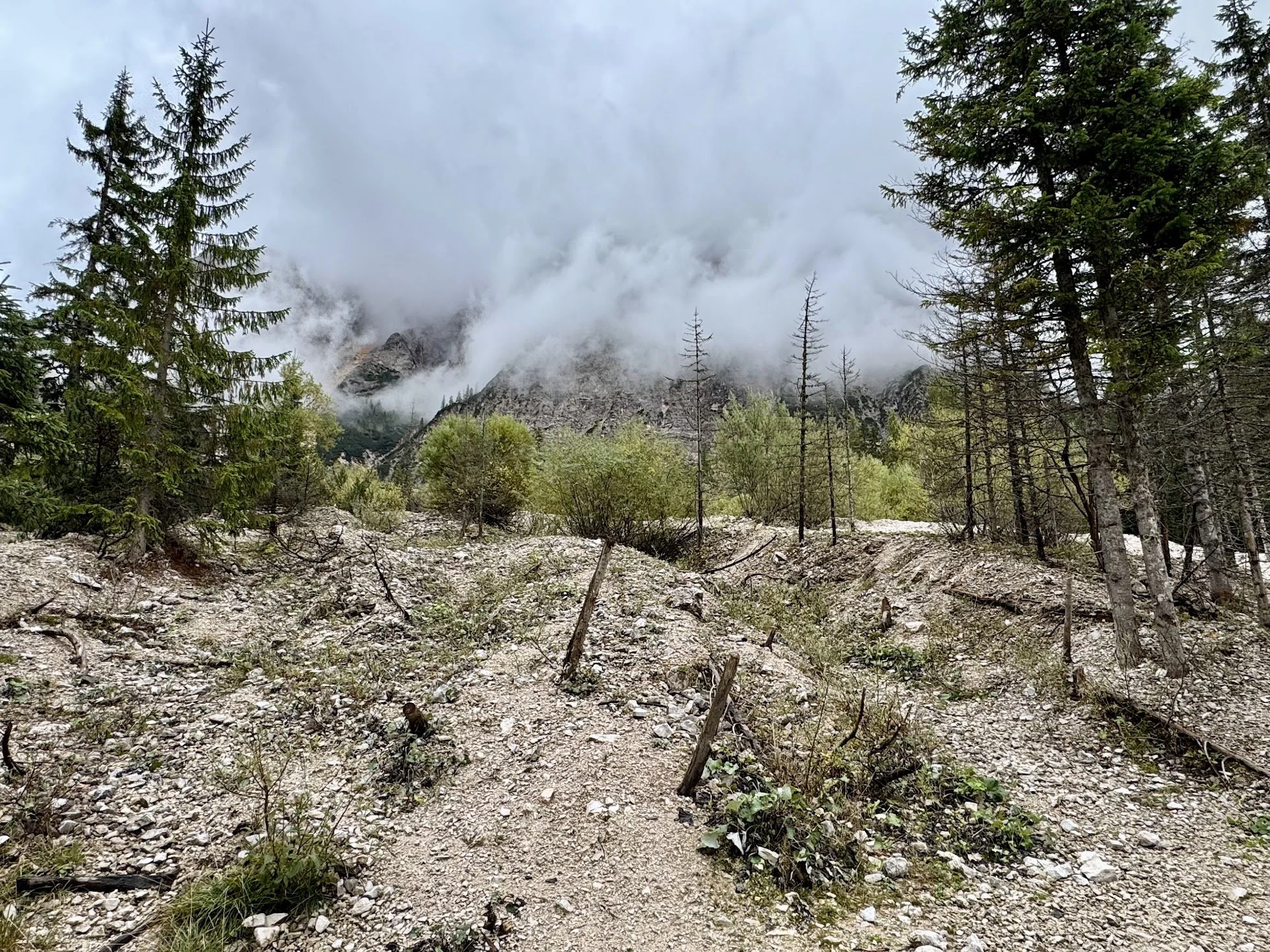Mountain landscape with evergreen trees and smoky clouds near rocky mountain peaks.