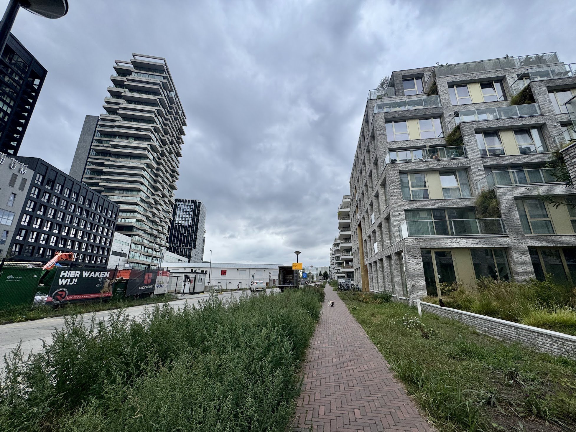 A cityscape with modern high-rise buildings, a pathway, and overcast sky. Construction barriers and a small dog visible in the foreground.