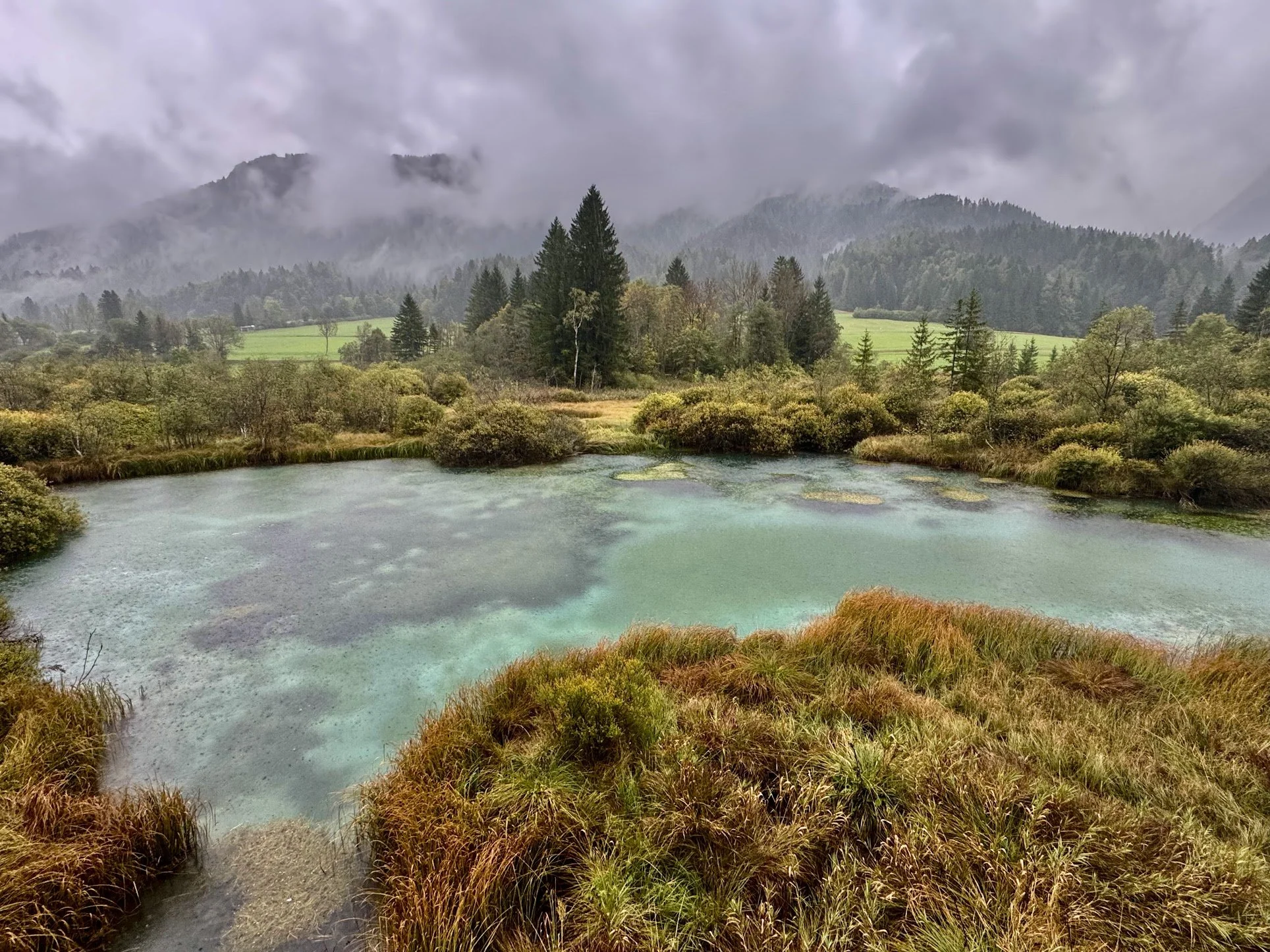 A tranquil landscape featuring a pond with turquoise water surrounded by green and brown grasses, with a backdrop of lush trees, rolling hills, and mist-covered mountains under a cloudy sky.