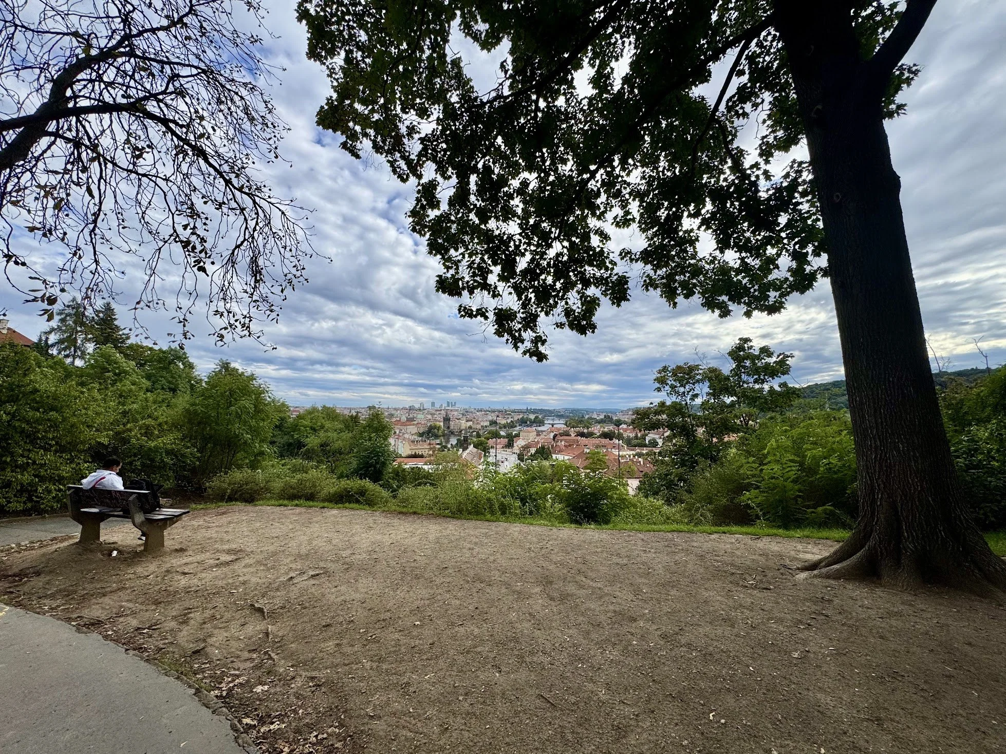 A person sitting on a park bench overlooking a cityscape with trees and cloudy sky.