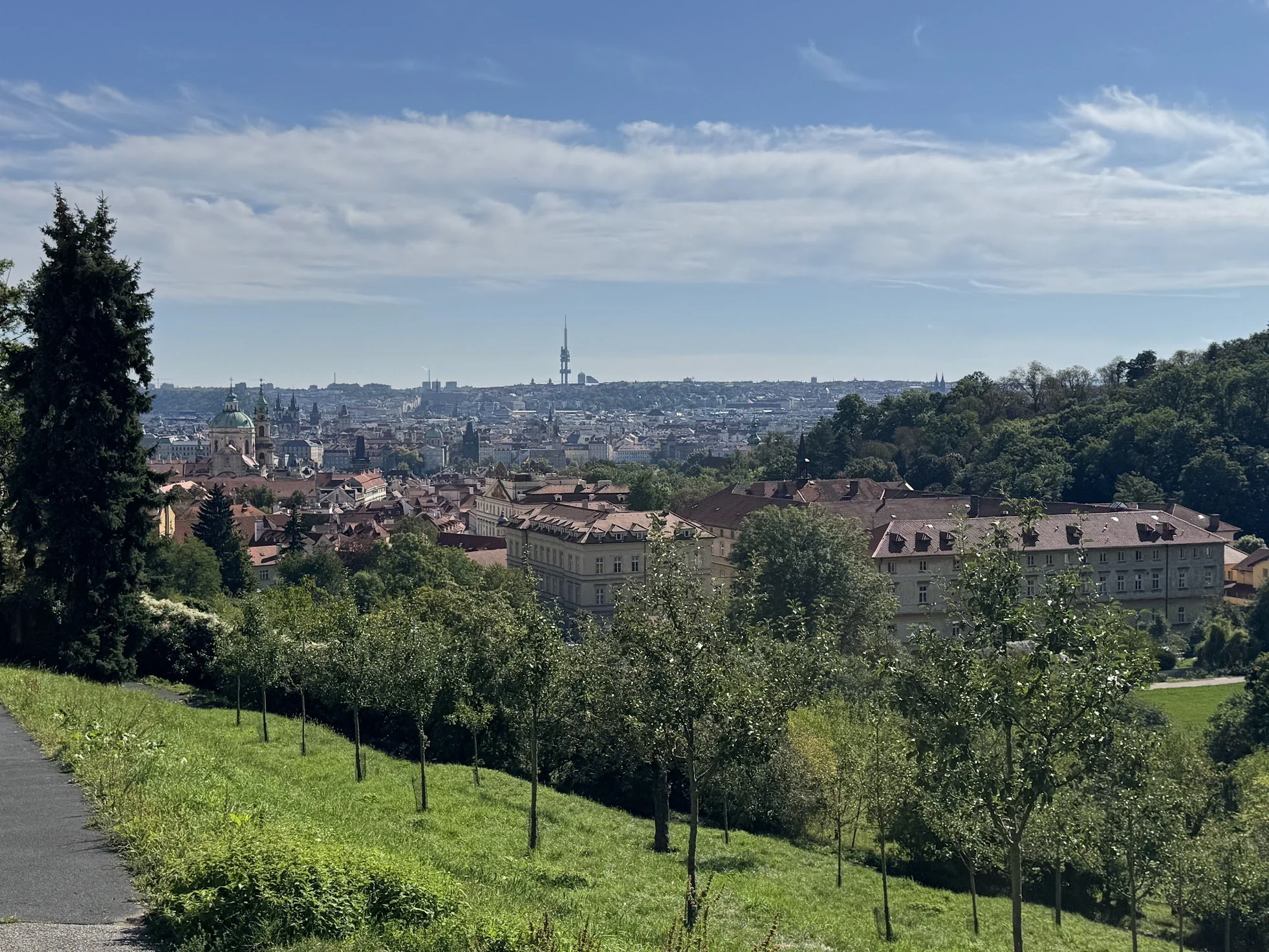 A scenic cityscape view from a park with lush green trees and grass in the foreground, historic buildings with red rooftops, and a tall television tower in the distance under a partly cloudy blue sky.