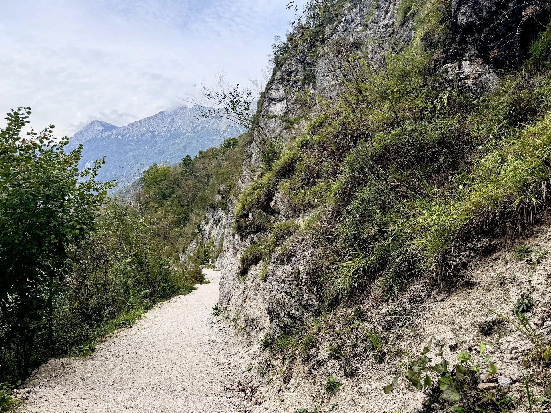 A dirt hiking trail next to a steep rocky hillside covered with grass and small plants, with mountains in the background under an overcast sky.