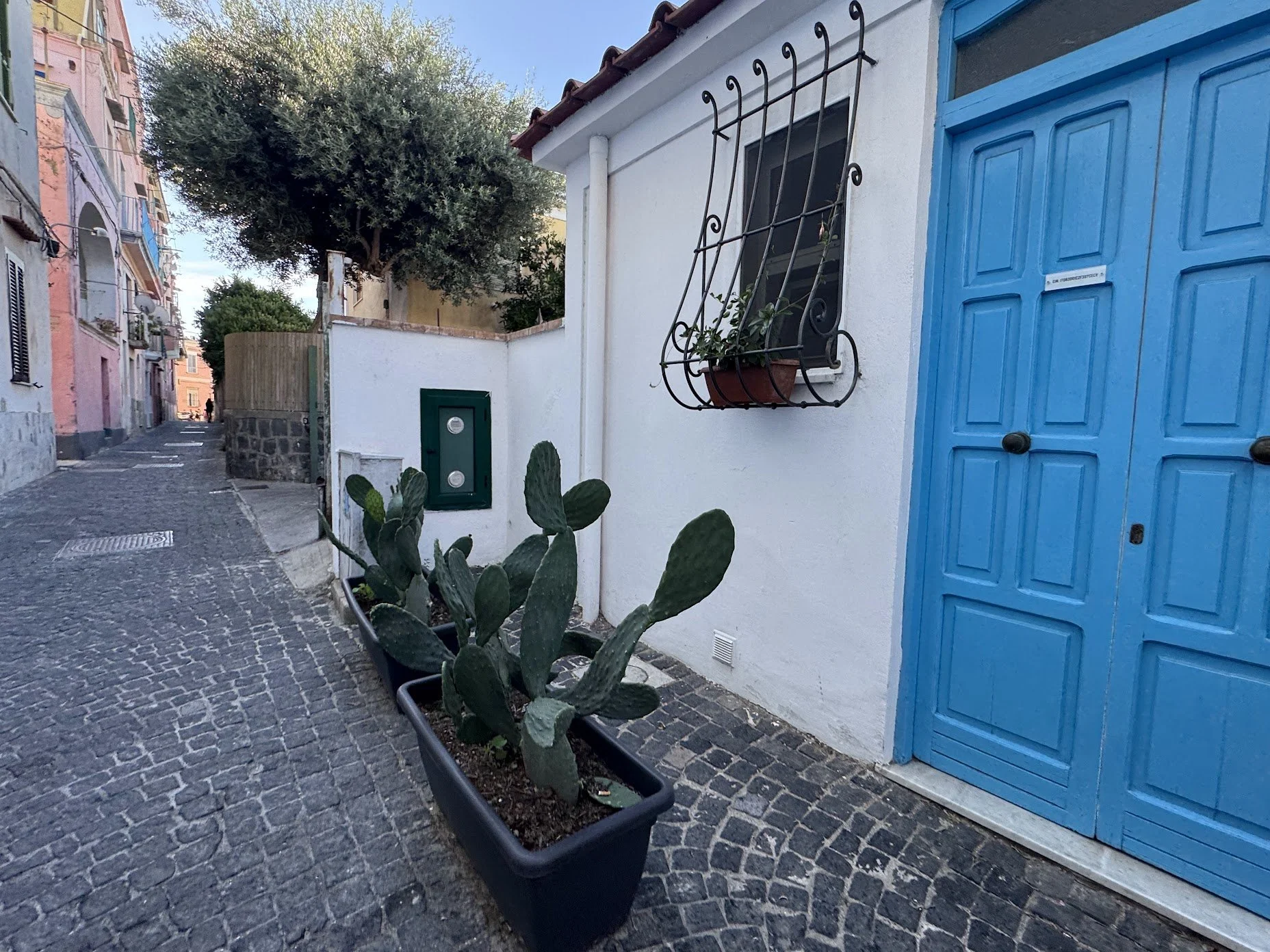A narrow cobblestone street with colorful buildings on the left and a white building on the right, featuring a bright blue door, a window with ornamental ironwork and a potted plant, and a cactus in a planter.