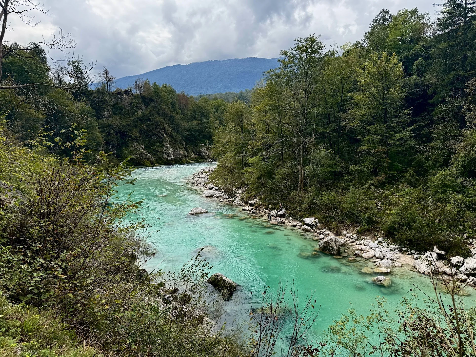 A scenic landscape of a turquoise river flowing through a forested canyon, with green trees and rocky banks, and mountains in the background under cloudy sky.