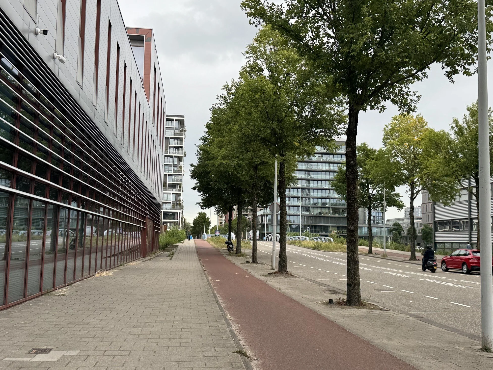 City street scene with modern glass buildings, trees lining the sidewalk, parked cars, and a red bike lane.
