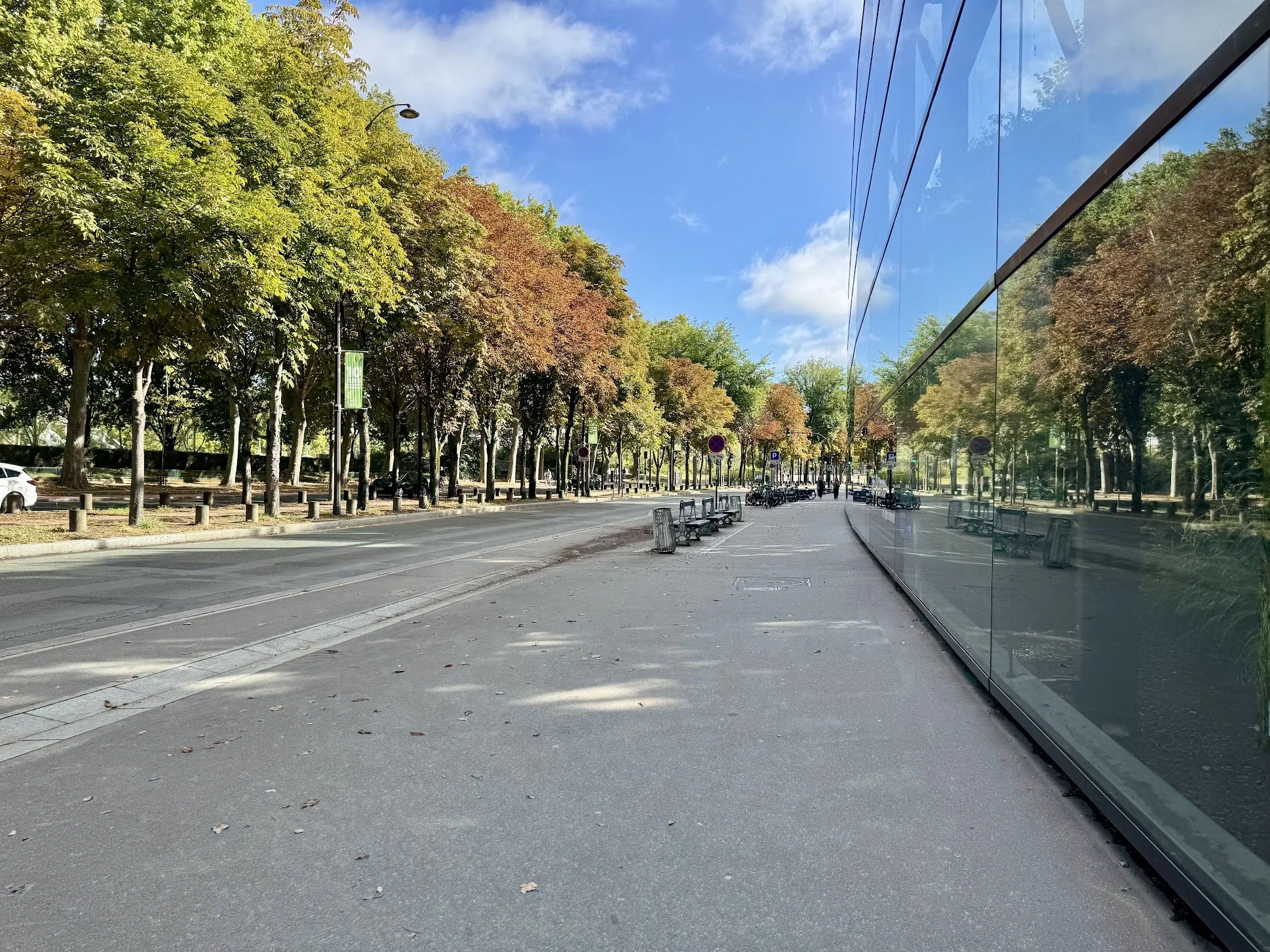 A city street with a row of trees with green and some orange leaves, parked cars, benches, and bicycle racks. On the right side, a building with reflective glass windows mirrors the trees and sky. The sky is blue with some white clouds.