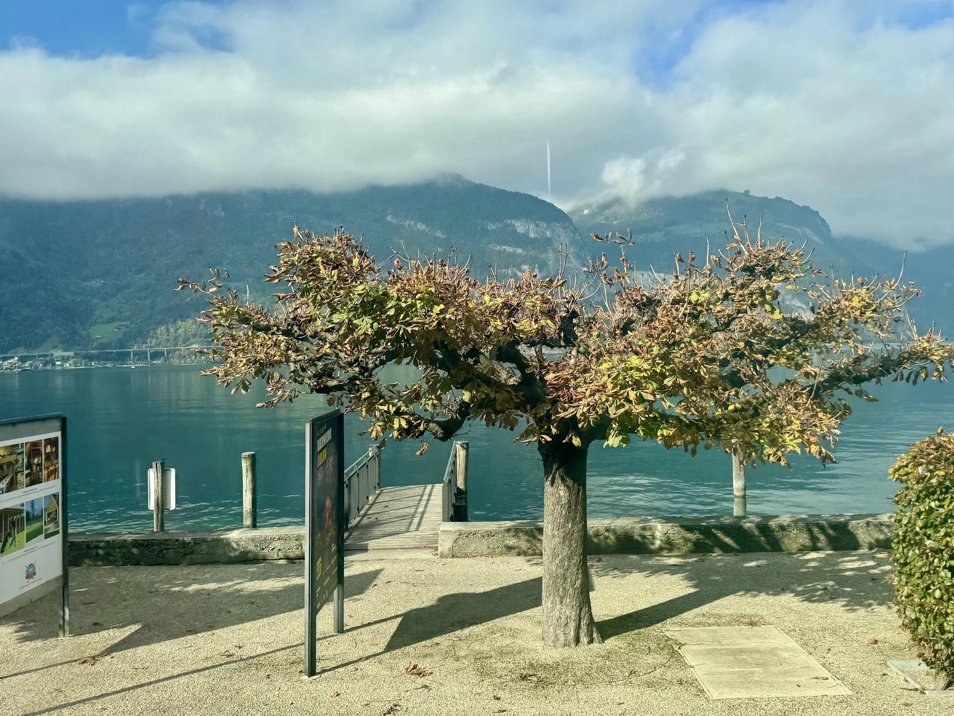 A wooden pier extends into a calm body of water, with a tree in the foreground and a mountain range in the background partially covered by clouds. There are signs and informational boards near the pier.