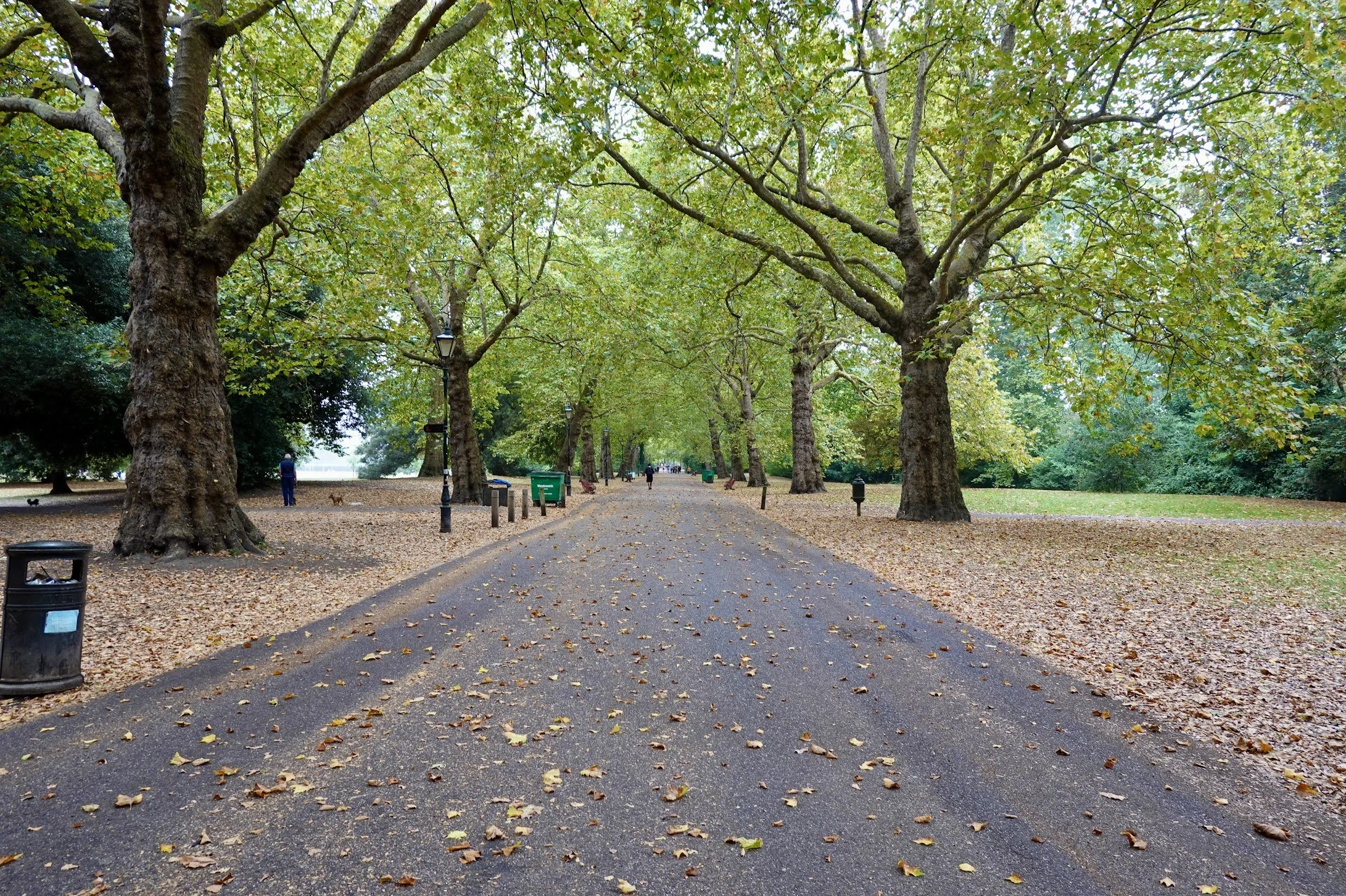 london-england-forkandfootpath-15.JPG