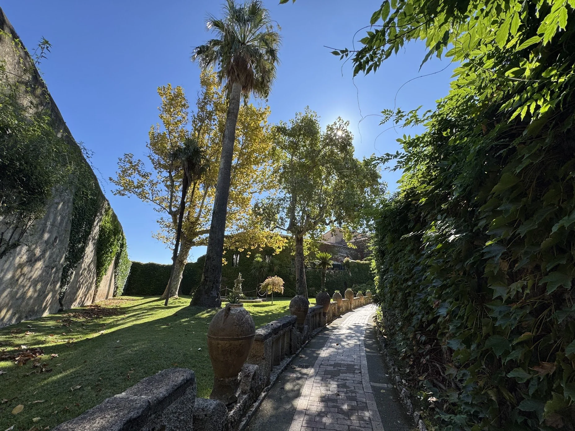 A serene garden with a pathway bordered by large planters, palm trees, and lush greenery, sunlight illuminating the scene against a clear blue sky.