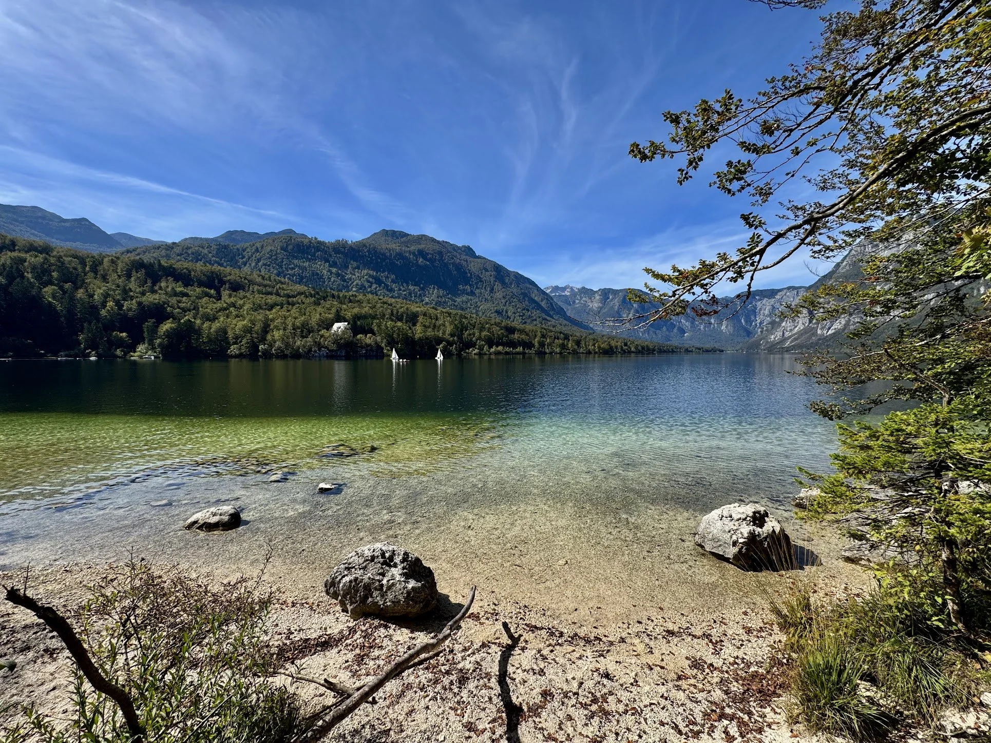 A scenic view of a lake surrounded by lush green mountains under a bright blue sky with wispy clouds. The foreground features a sandy beach with rocks and some sparse vegetation, including branches and leaves extending into the scene. Two sailboats a