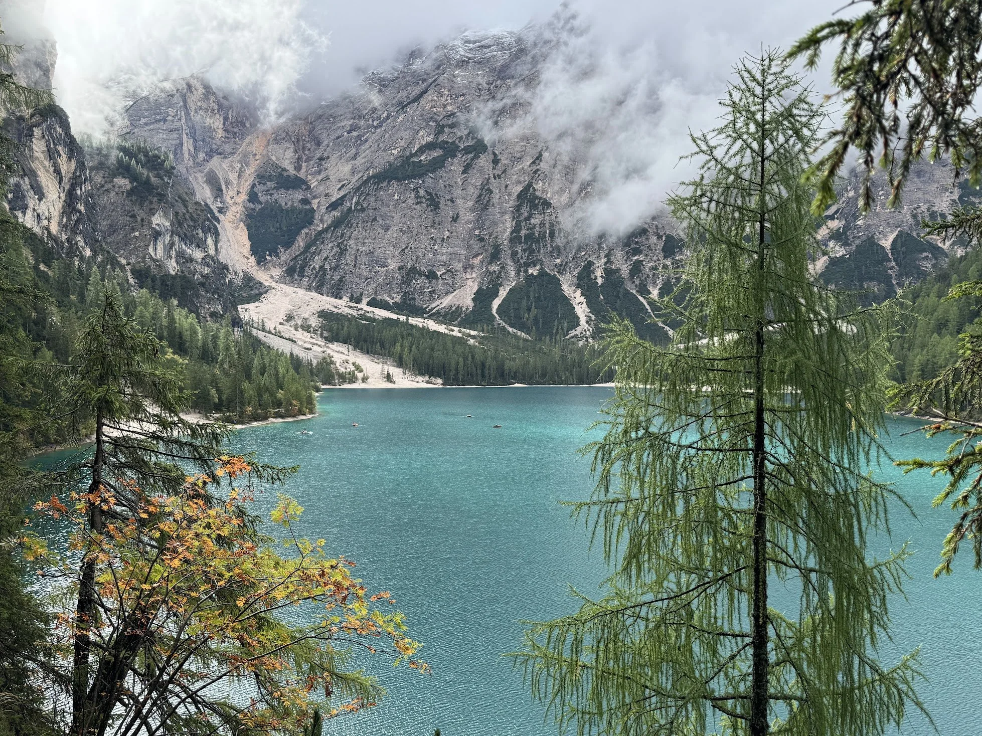 Mountain lake scene with pine trees and misty mountain backdrop.