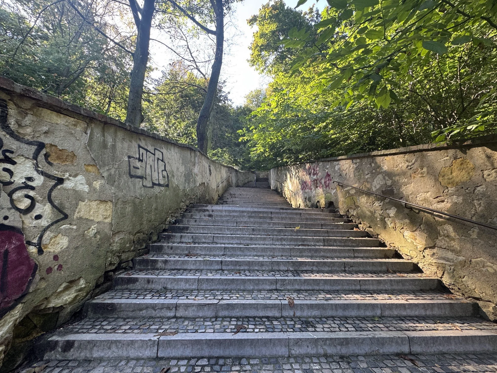 Stone stairway in a park, flanked by graffiti-covered walls, surrounded by green trees and foliage.