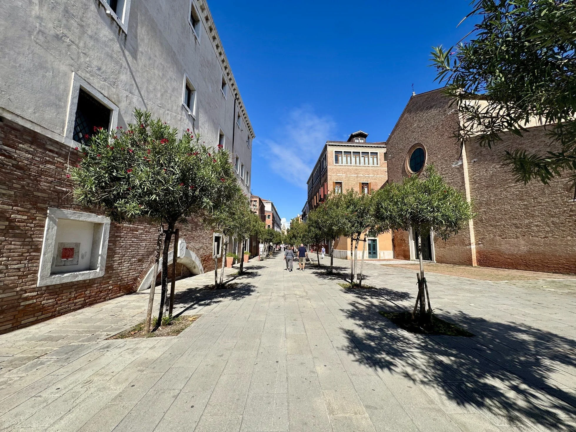 A wide city street with trees lining the sidewalk under a clear blue sky, surrounded by various historic buildings.