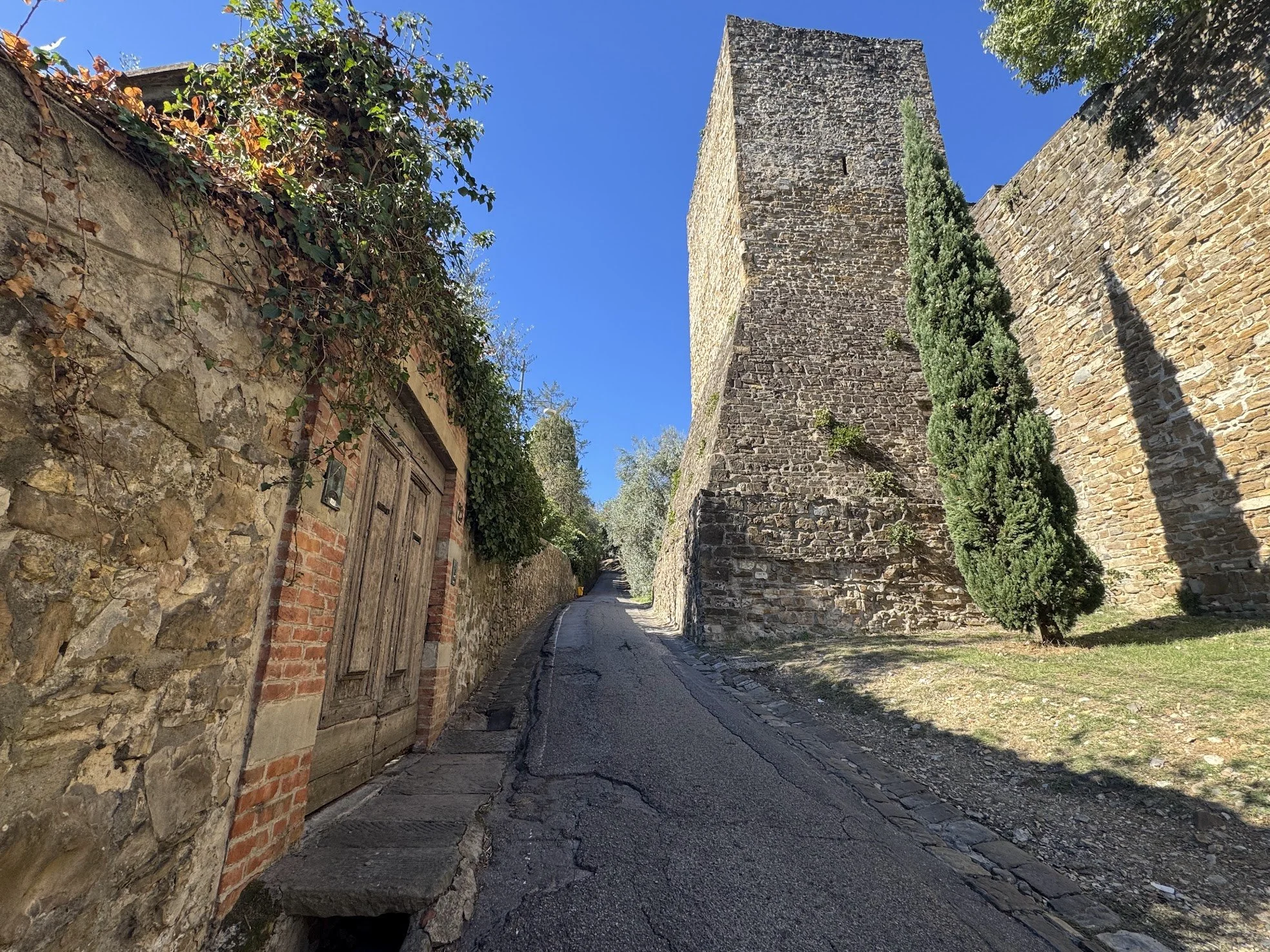 florence40.jpg