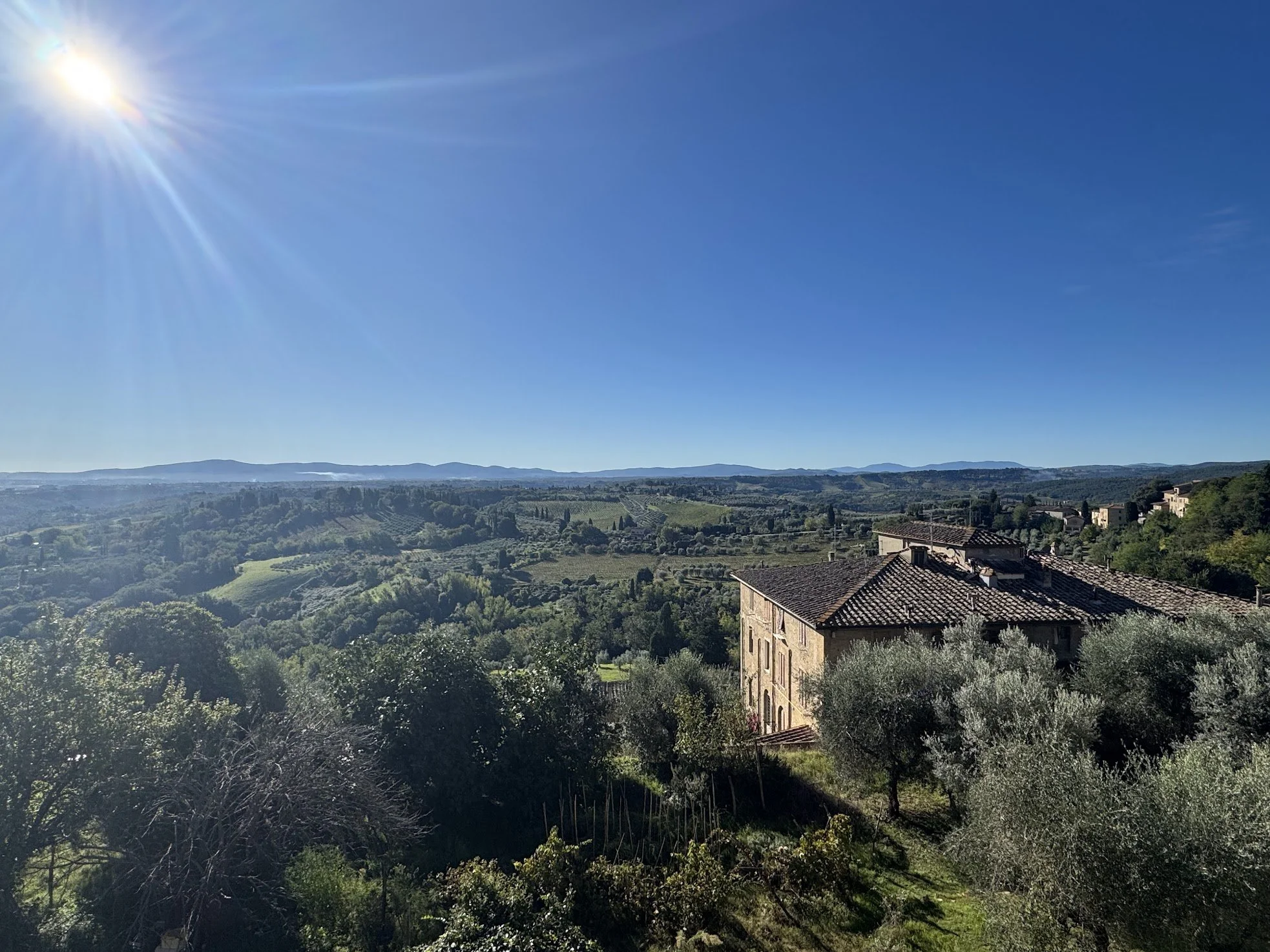 florence52.jpg