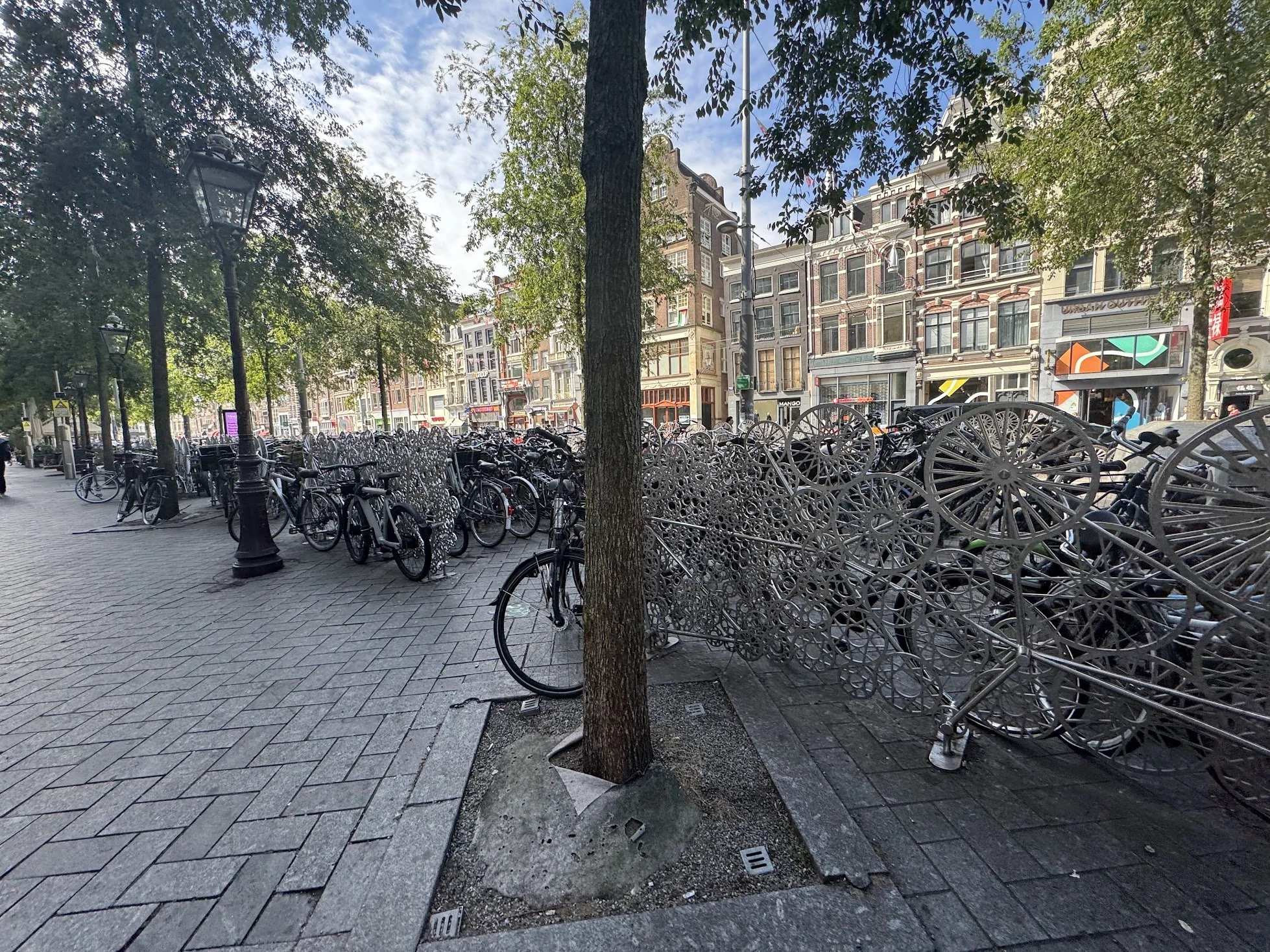 Street scene with historic buildings, a bike parking area filled with numerous bicycles, several black street lamps, and trees providing shade on a bright day in an urban area.