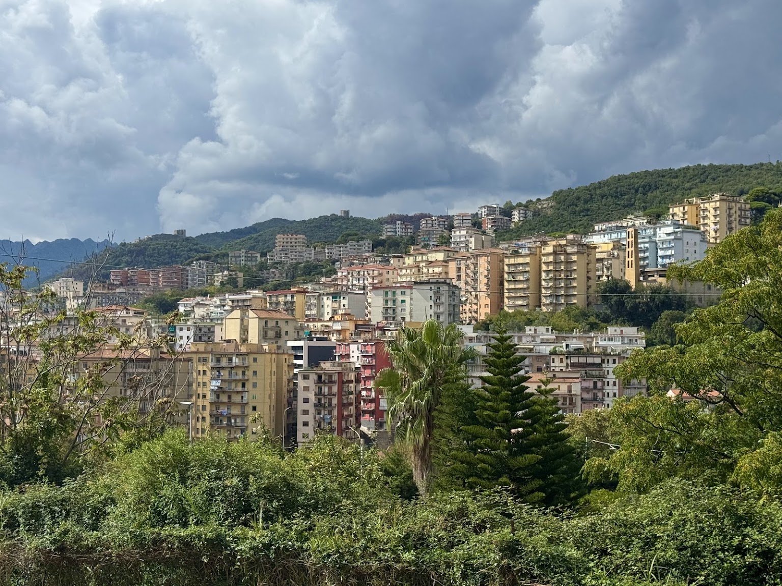 salerno19.jpg