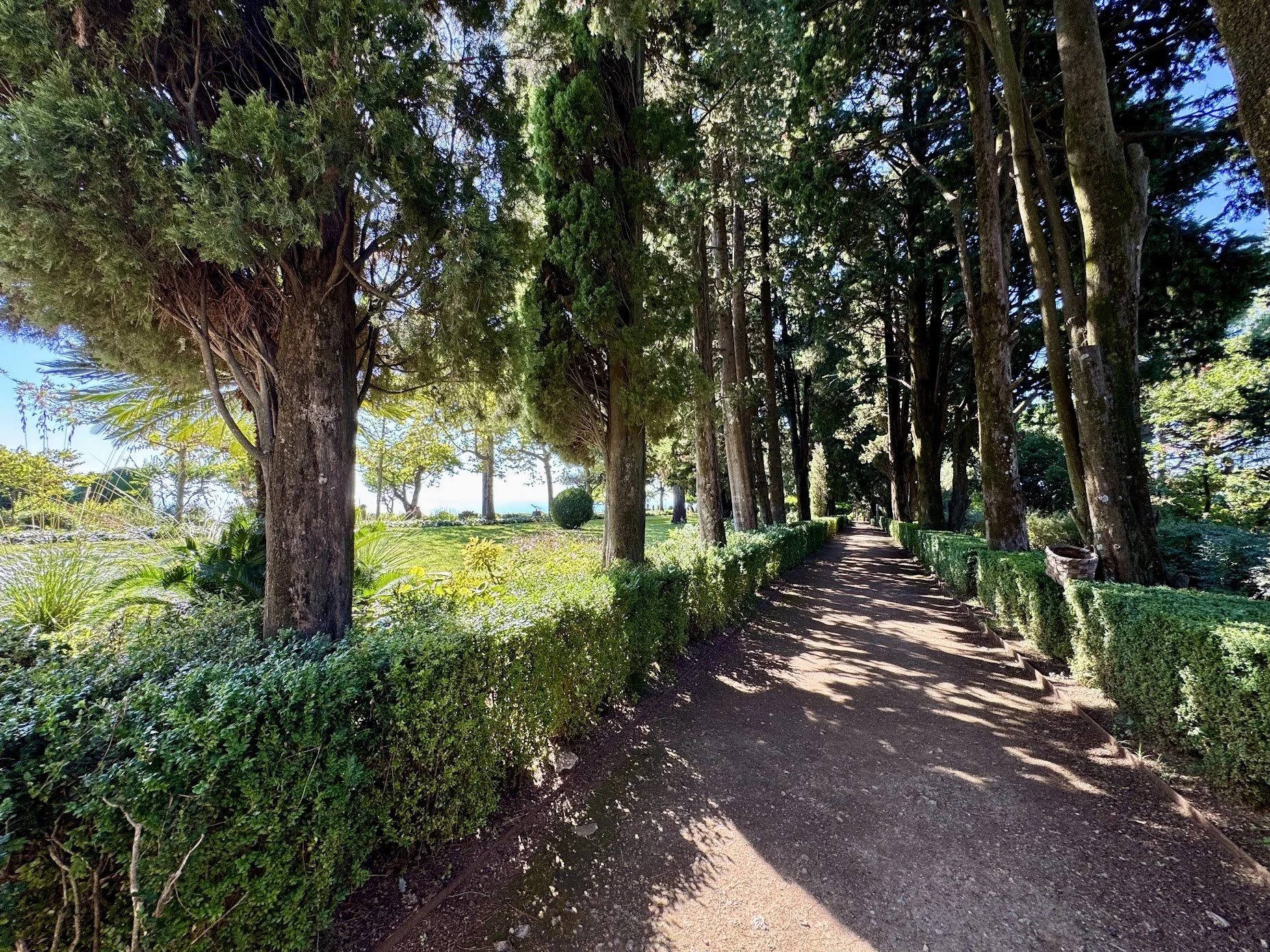 A dirt path lined with trimmed bushes on the left and tall trees on the right, with sunlight casting shadows on the ground in a park setting.