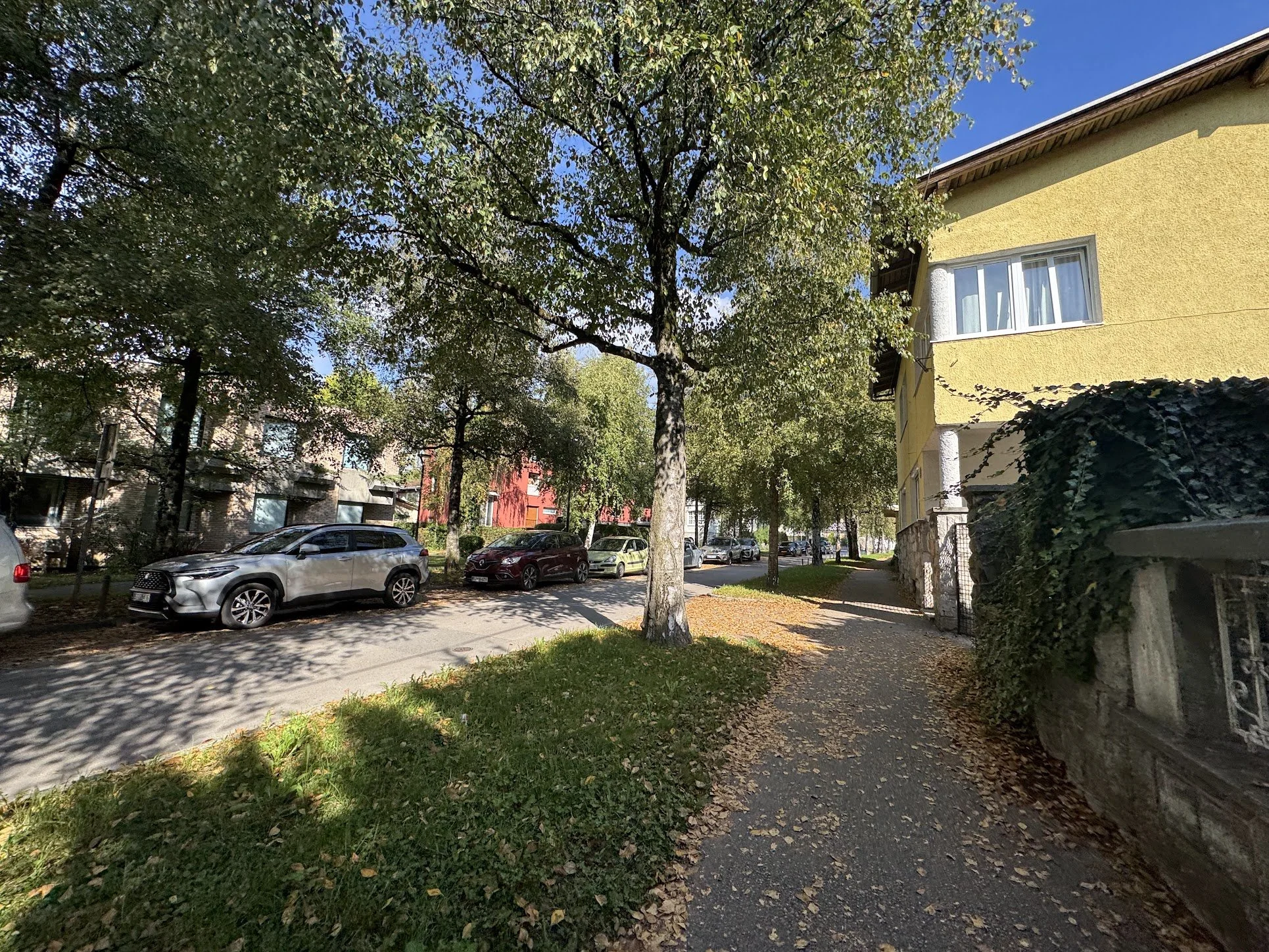 A street with parked cars, green trees lining the sidewalk, and a yellow building with a window and decorative elements, on a sunny day with a blue sky.