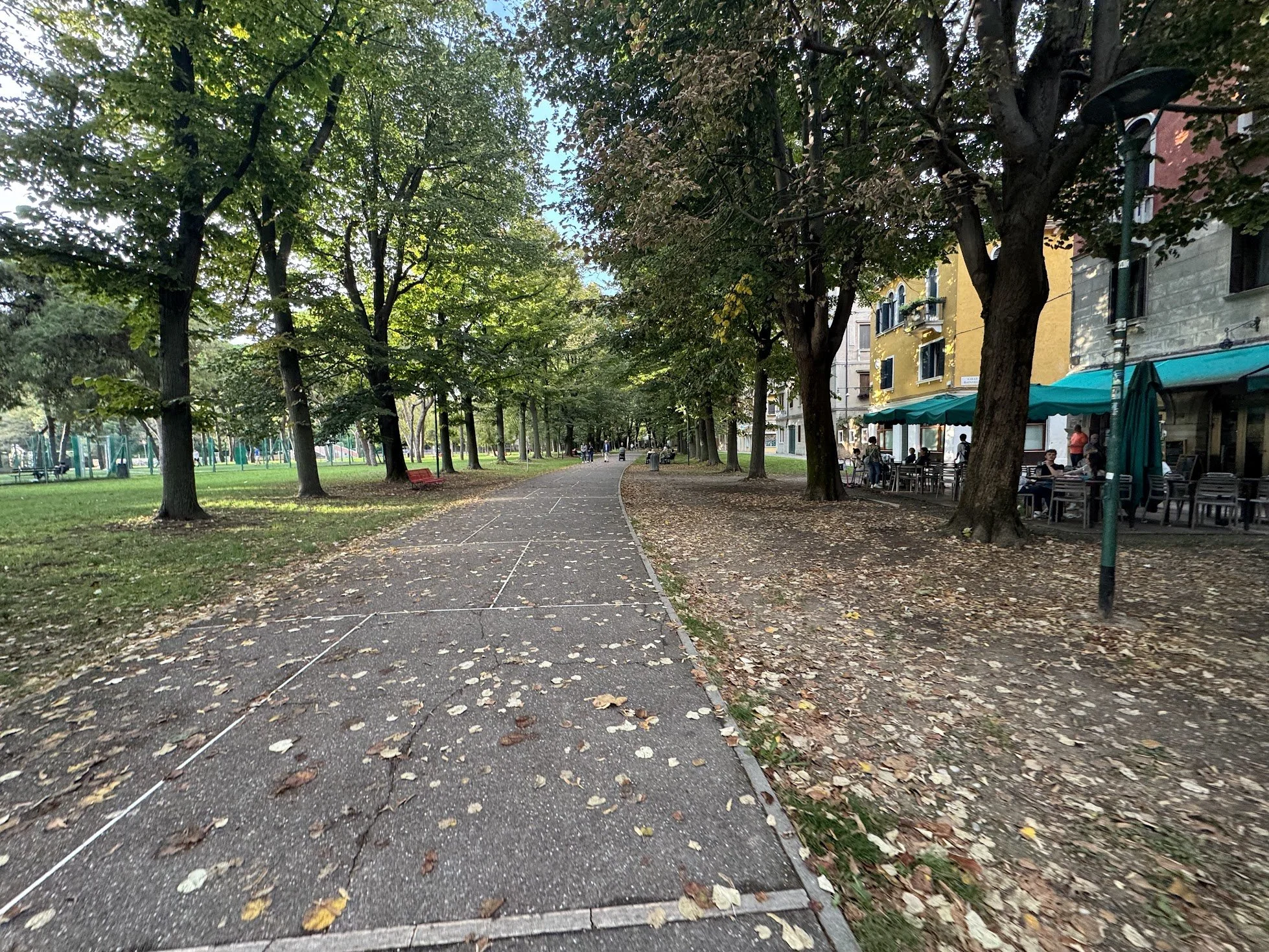 City park with a walking path, tall trees with green and brown leaves, some fallen leaves on the ground, benches, and a cafe with outdoor seating on the right side.
