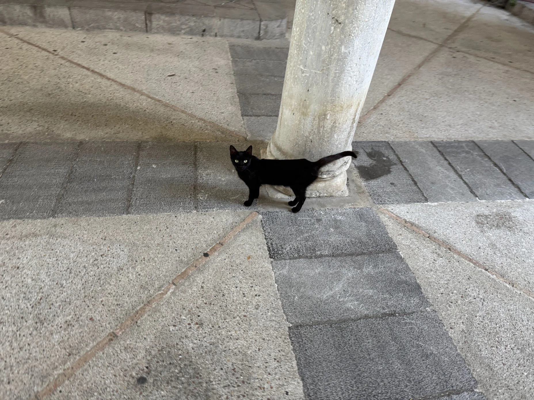 A black cat with yellow eyes standing on a sidewalk next to a white pole, with a brick and concrete background.