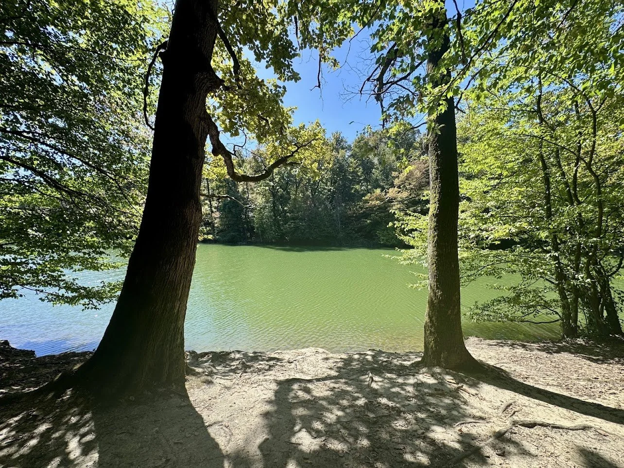 Zagreb43.jpg