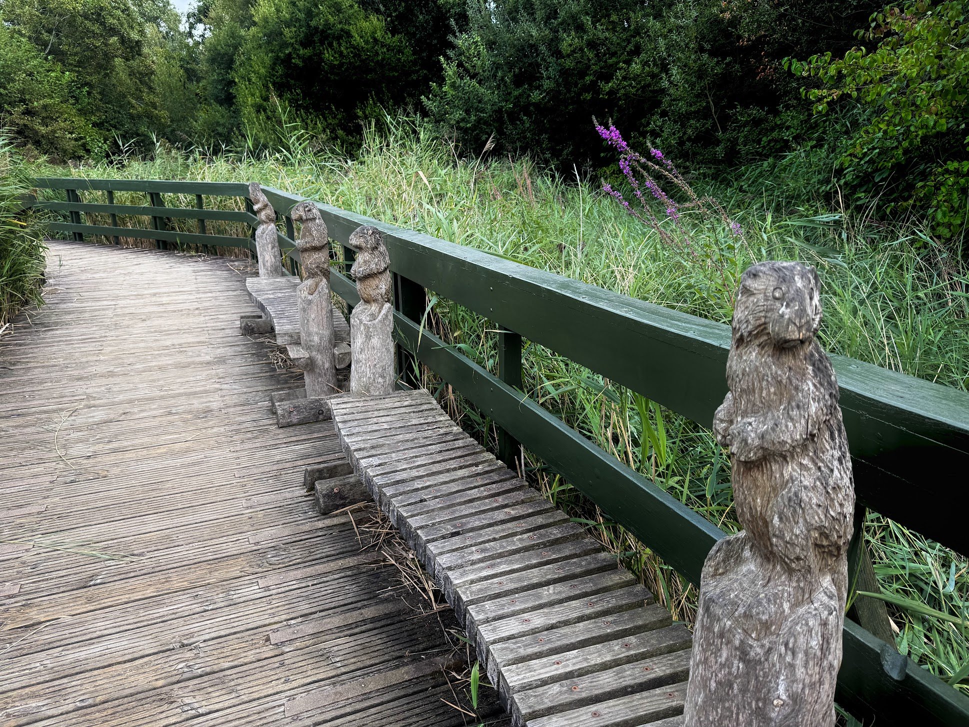 Wooden boardwalk with carved animal posts along a railing, surrounded by tall grass and dense green trees.