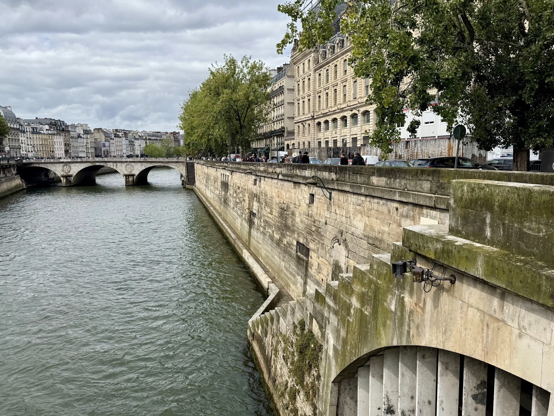 View of the Seine River with historic buildings and trees along the riverbank in Paris, France, under a cloudy sky.