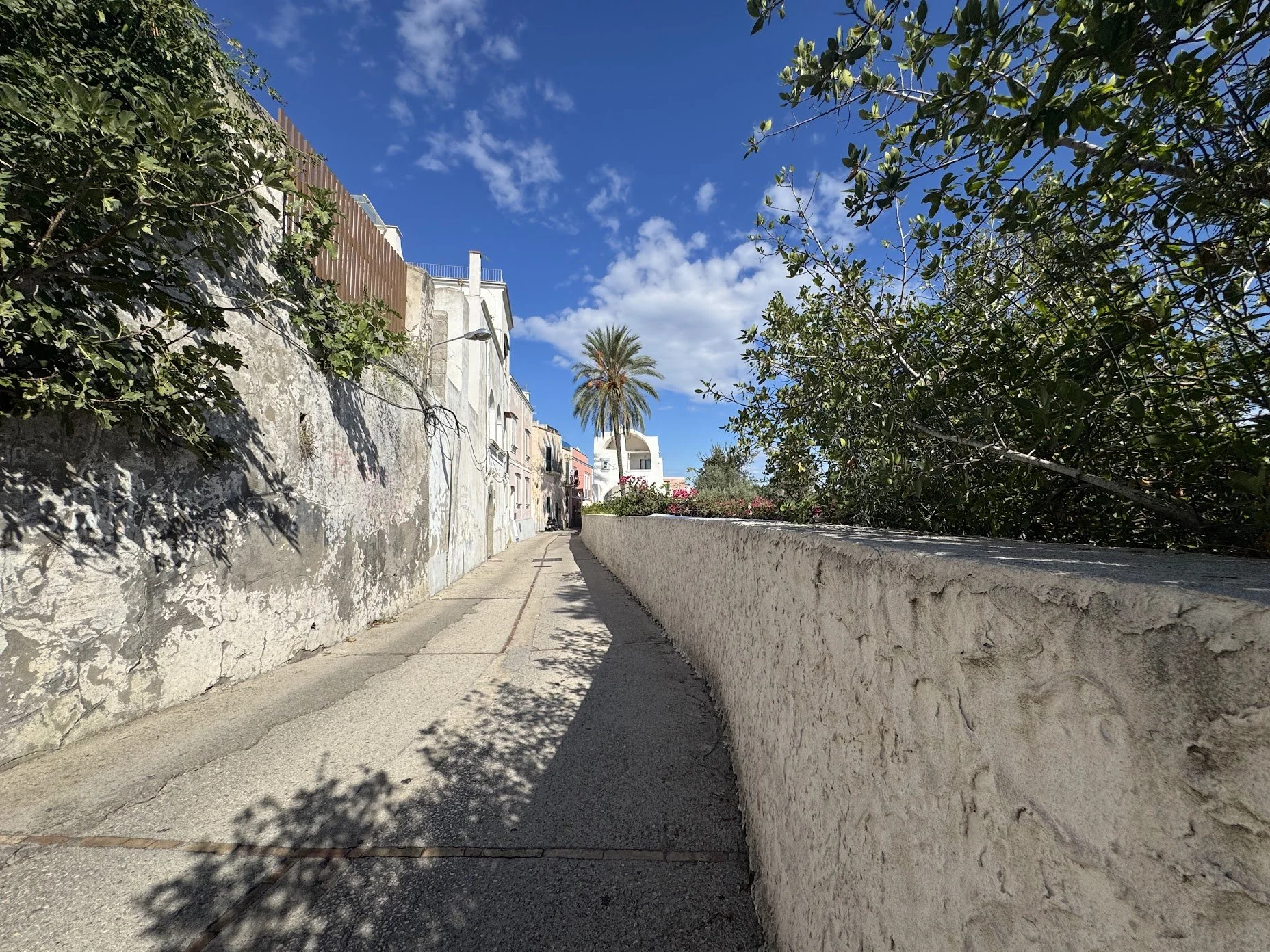 A narrow alleyway with a tall textured stone wall on the left and a low white wall on the right, shaded by trees; in the distance, a palm tree and colorful houses under a blue sky with scattered clouds.