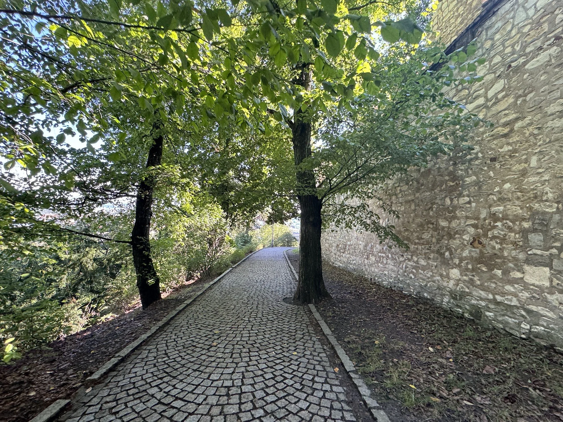 A cobblestone pathway curves through a shaded area with green leafy trees on one side and a stone wall on the other, sunlight filtering through the leaves.
