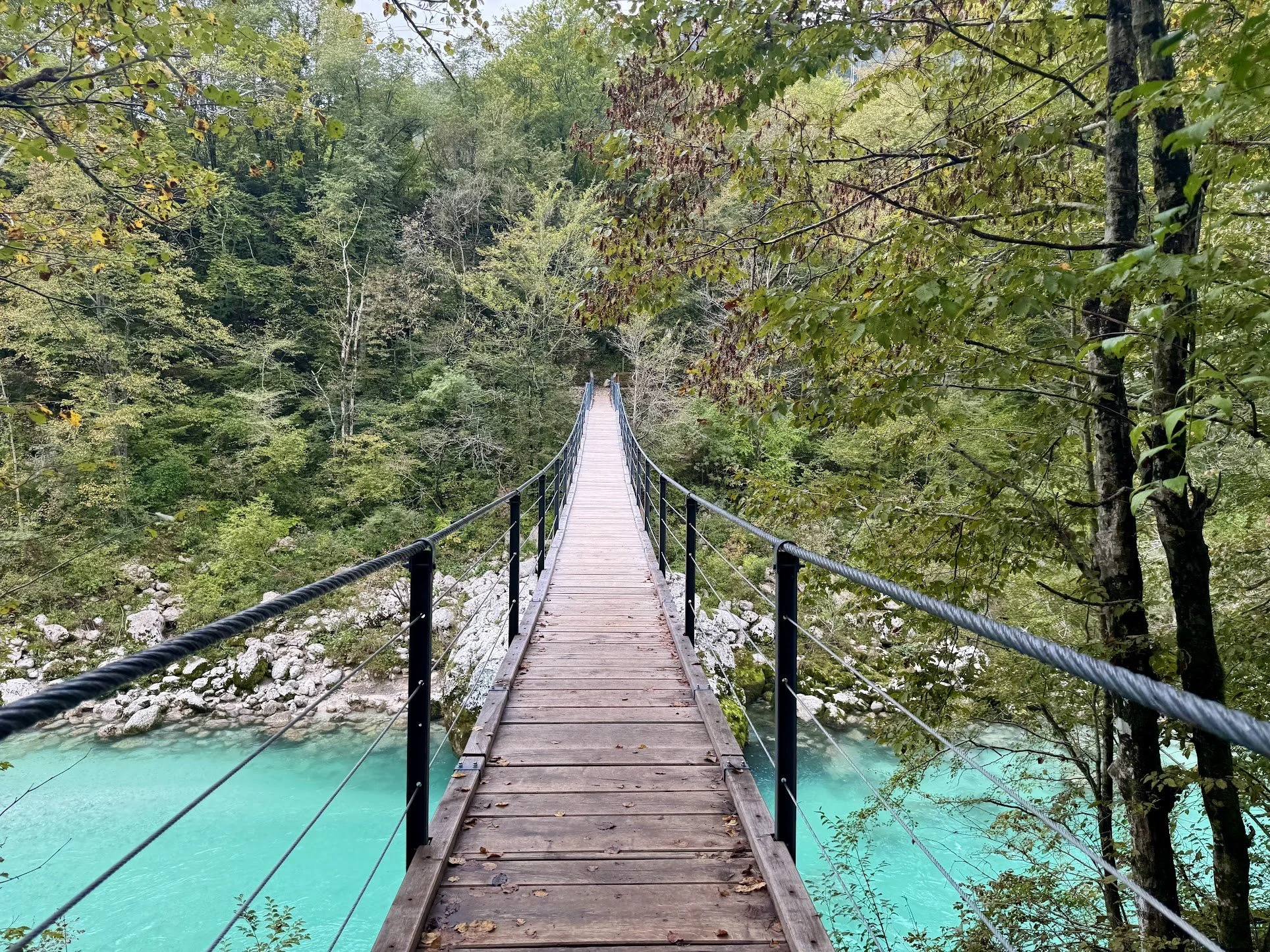 A narrow wooden suspension bridge with black railings spans over turquoise water amidst lush green trees in a forest.