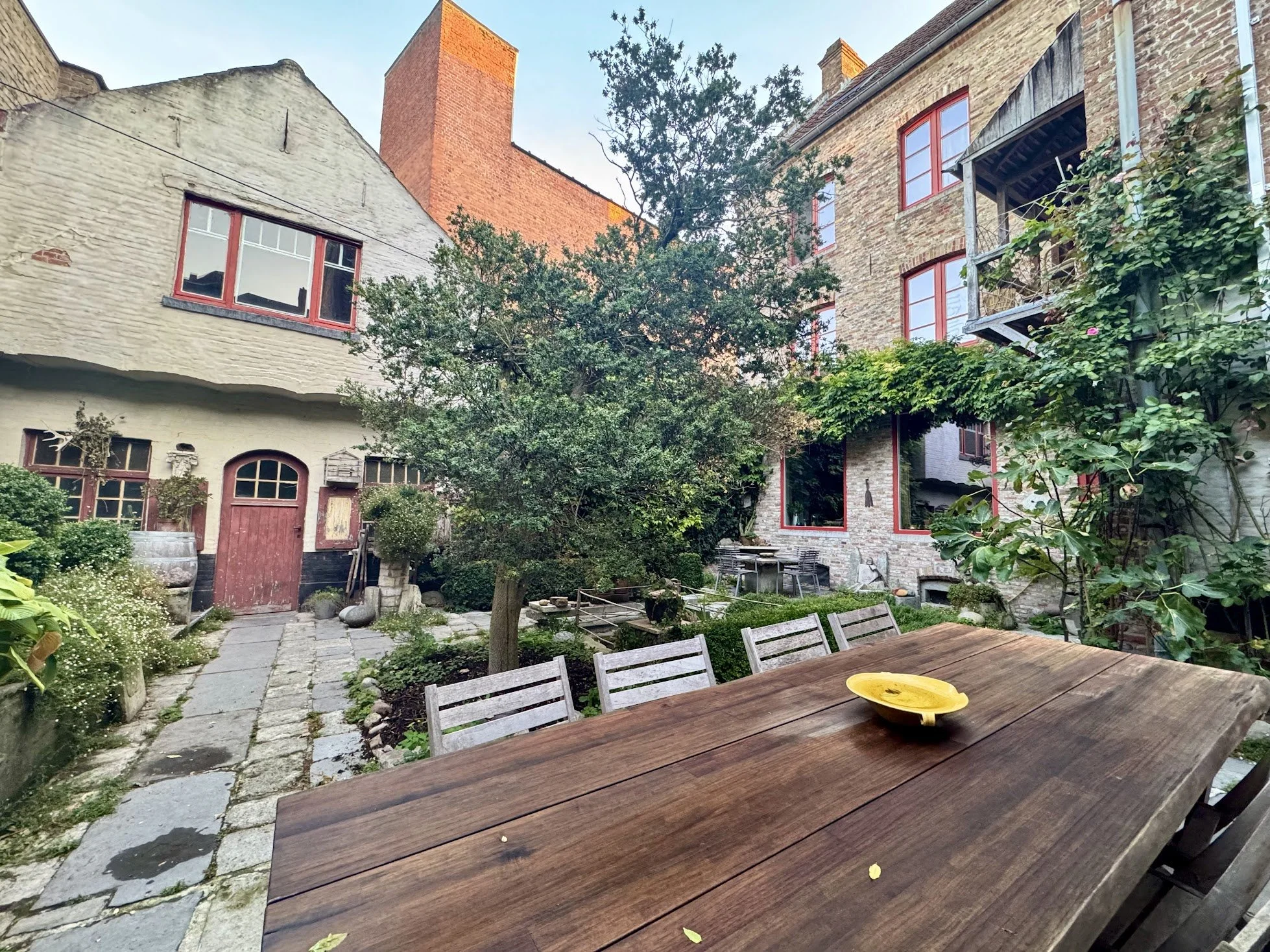 A backyard patio with a wooden table and chairs, a large tree, plants, and old brick buildings with red window frames in the background.