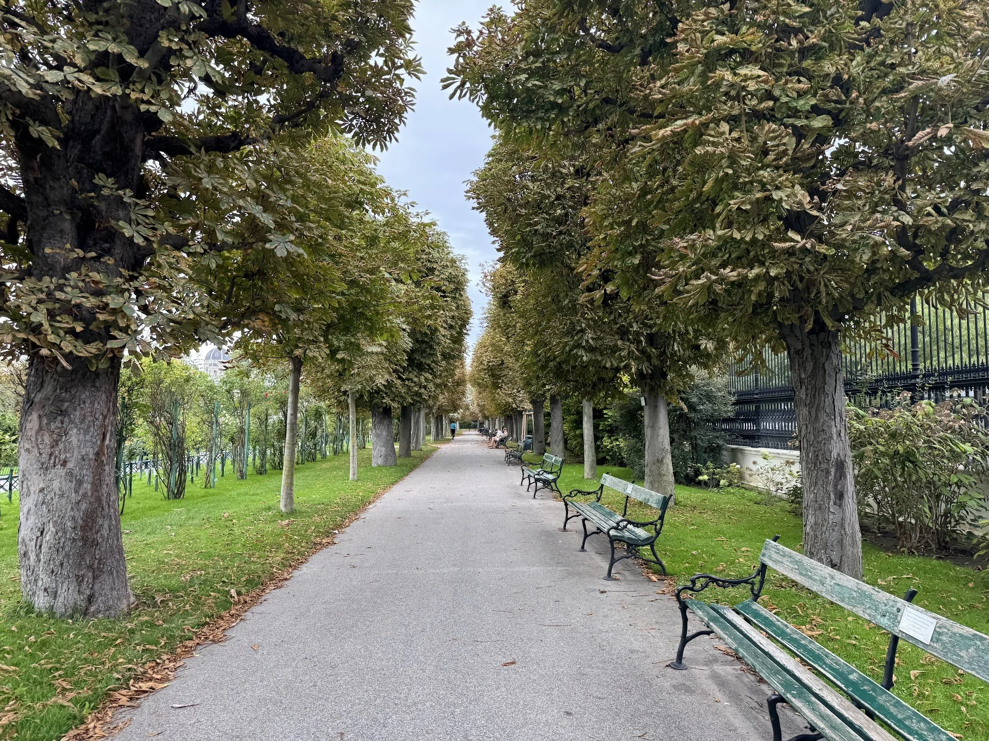 A pathway through a park lined with trees on both sides, with some benches along the path and a person walking in the distance under a cloudy sky.
