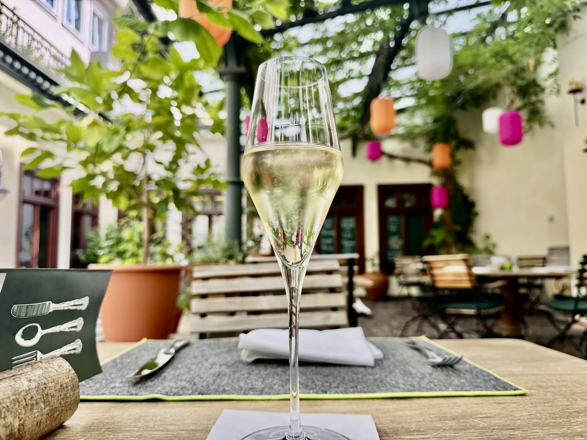 A glass of sparkling white wine on a table in an outdoor setting with green foliage and hanging lanterns in the background.