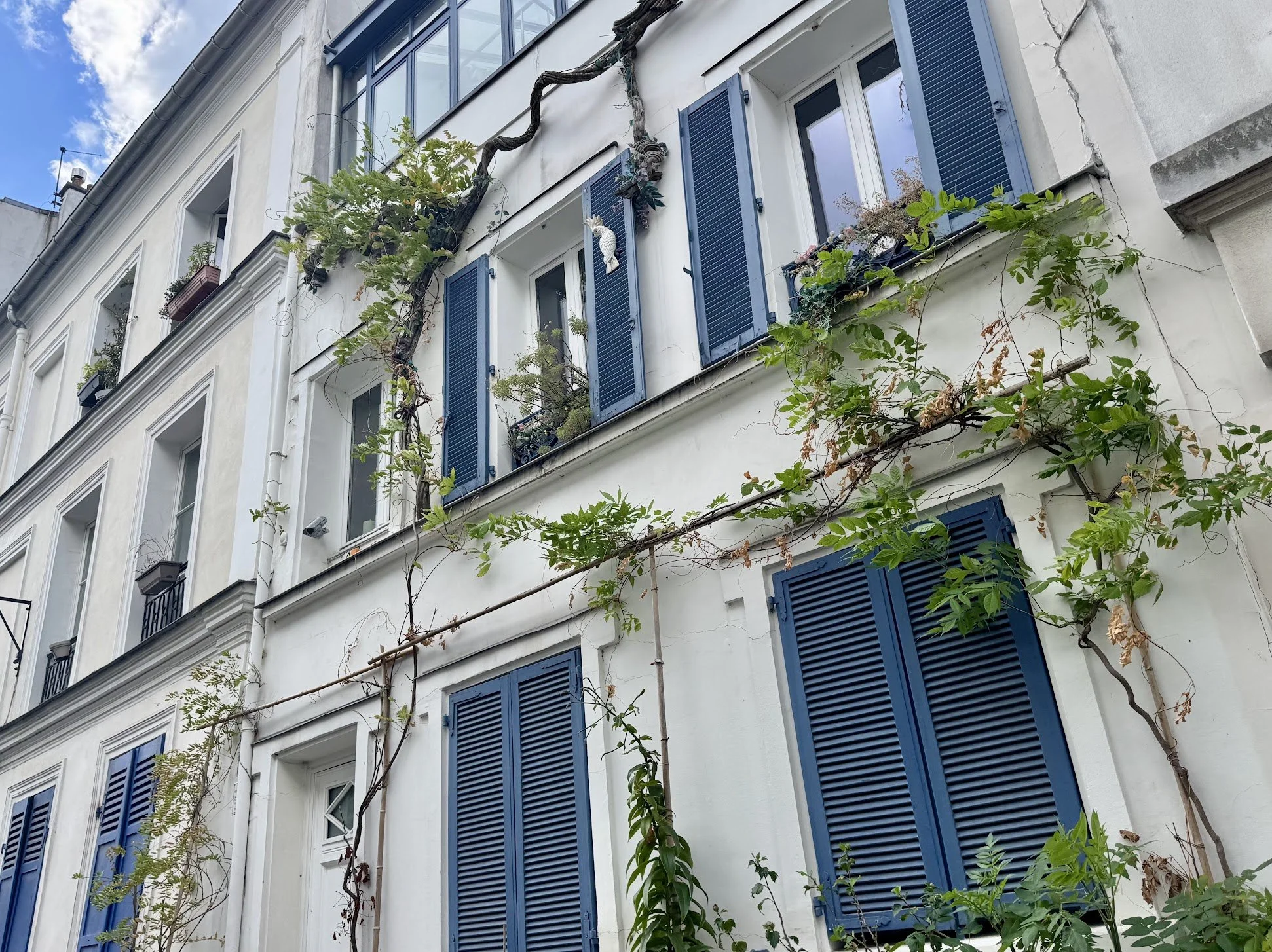 Facade of a white European-style building with blue shutters, surrounded by green climbing plants.
