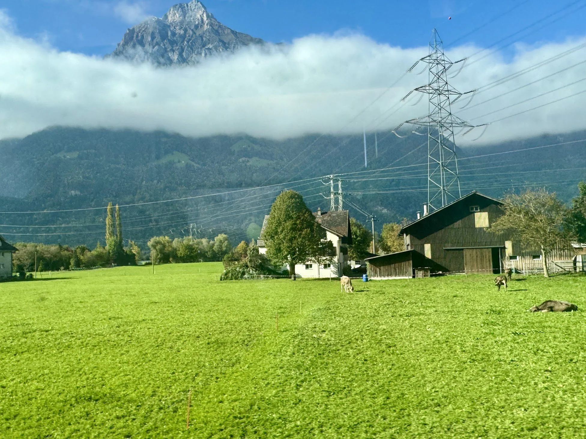 A rural scene showing a green grassy field with two goats grazing, houses and trees in the background, utility poles with power lines, a mountain partially covered in clouds, and a blue sky.