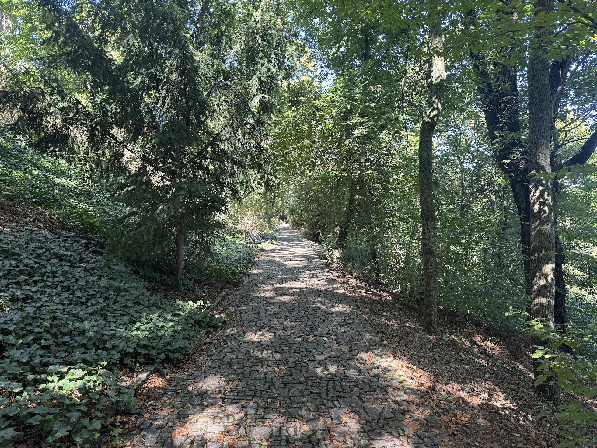 A cobblestone path through a lush, green wooded area with trees on both sides and a park bench in the background.