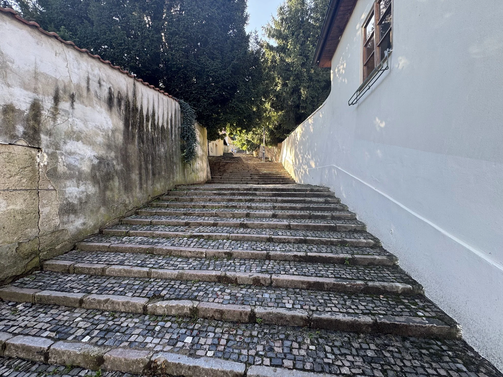 An outdoor stone staircase with many steps, flanked by a mossy stone wall on the left and a white building with windows on the right, leading downward to a small paved street lined with trees.