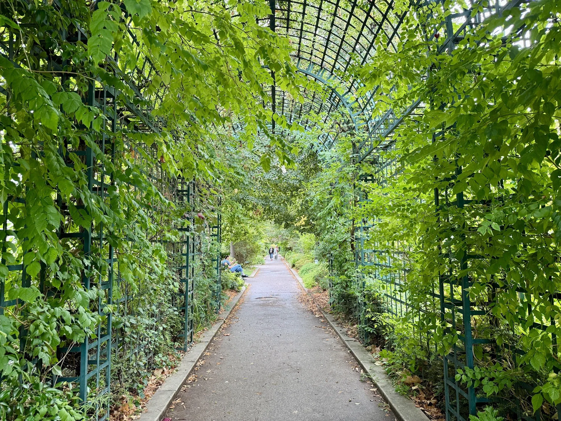 A pathway through a green tunnel created by leafy vegetation on metal trellises on each side and overhead, with a few people sitting on benches and walking in the distance.