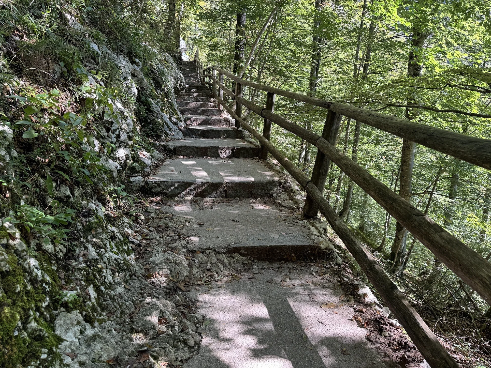 A winding dirt trail with wooden handrails on one side, surrounded by lush green trees in a forest.